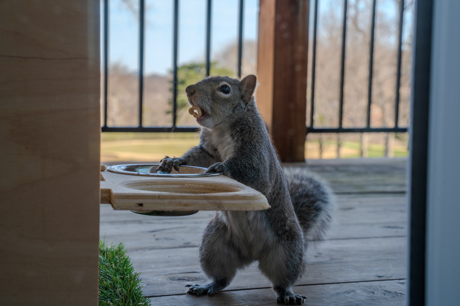 Breakfast time