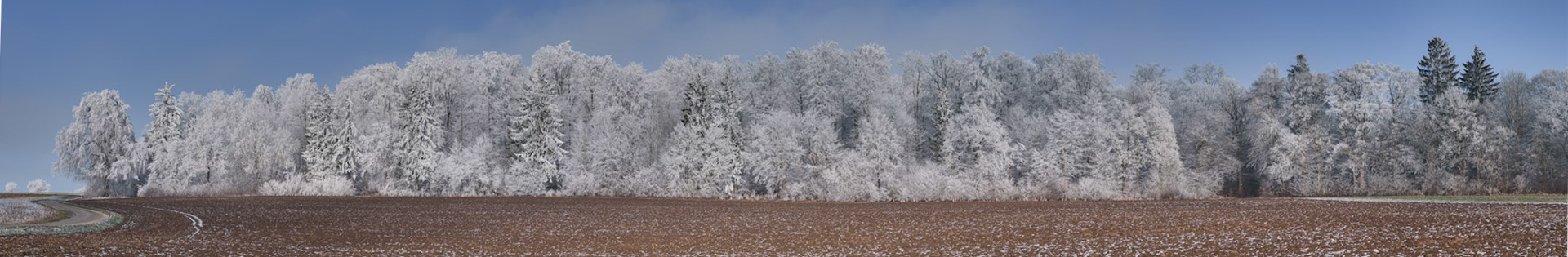 Auf der Schwäbischen Alb