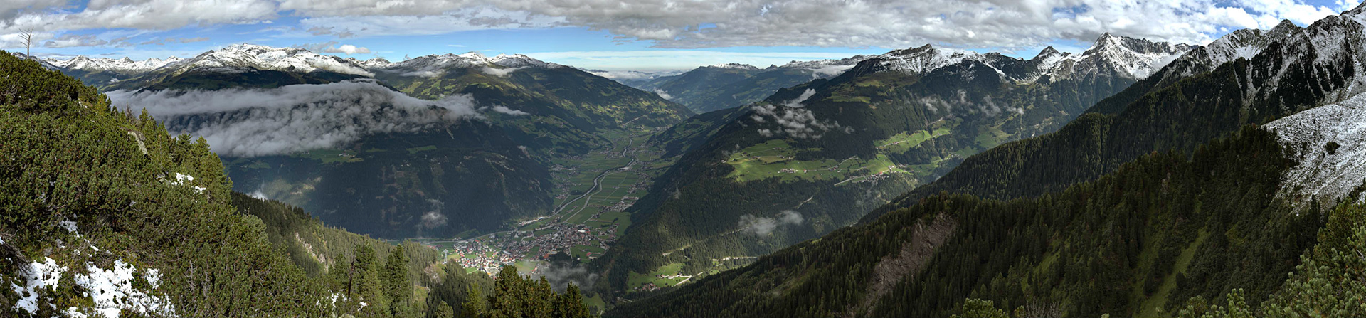 Ahorn - Zillertal
