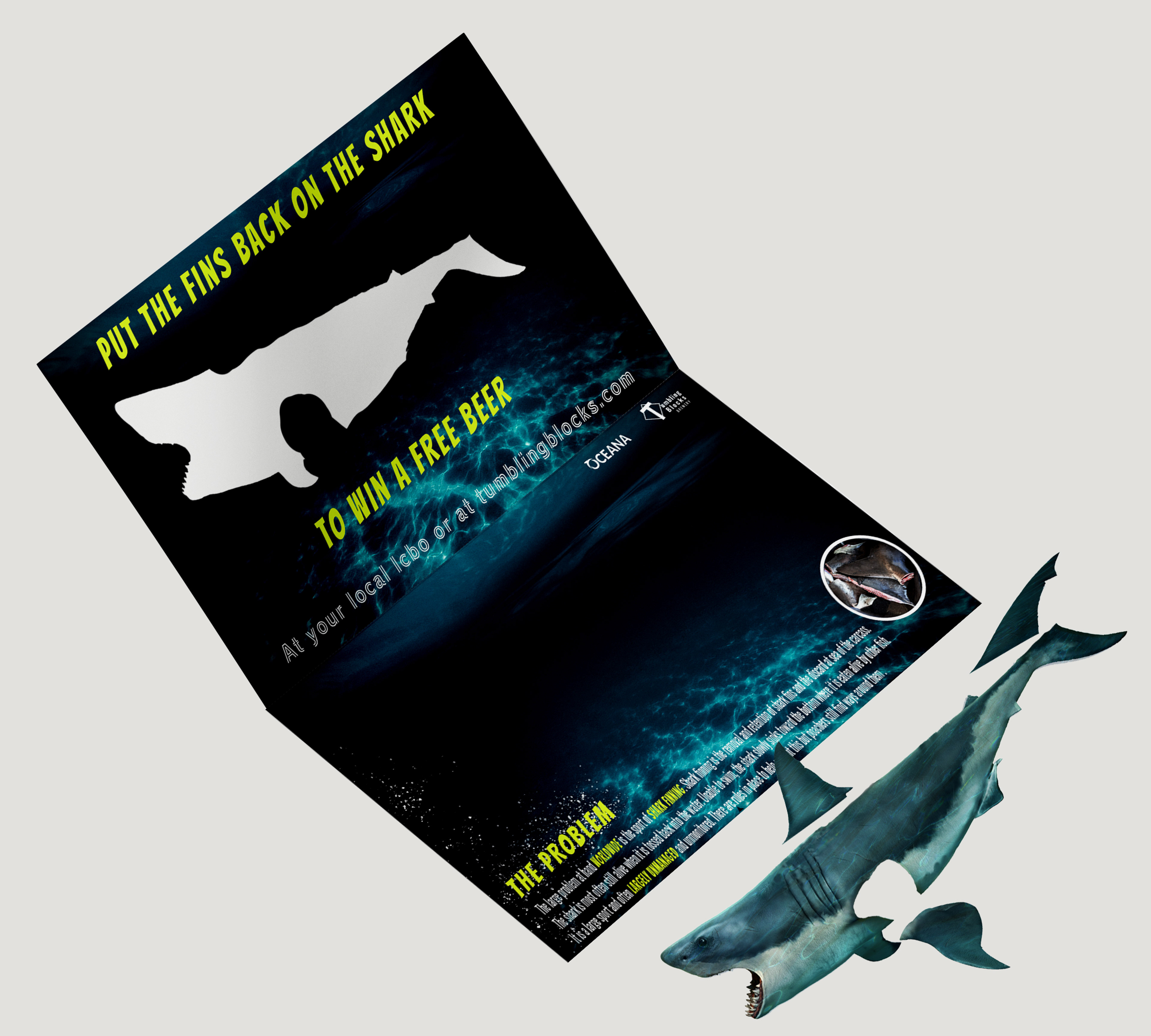 Direct Mail Final With Shark