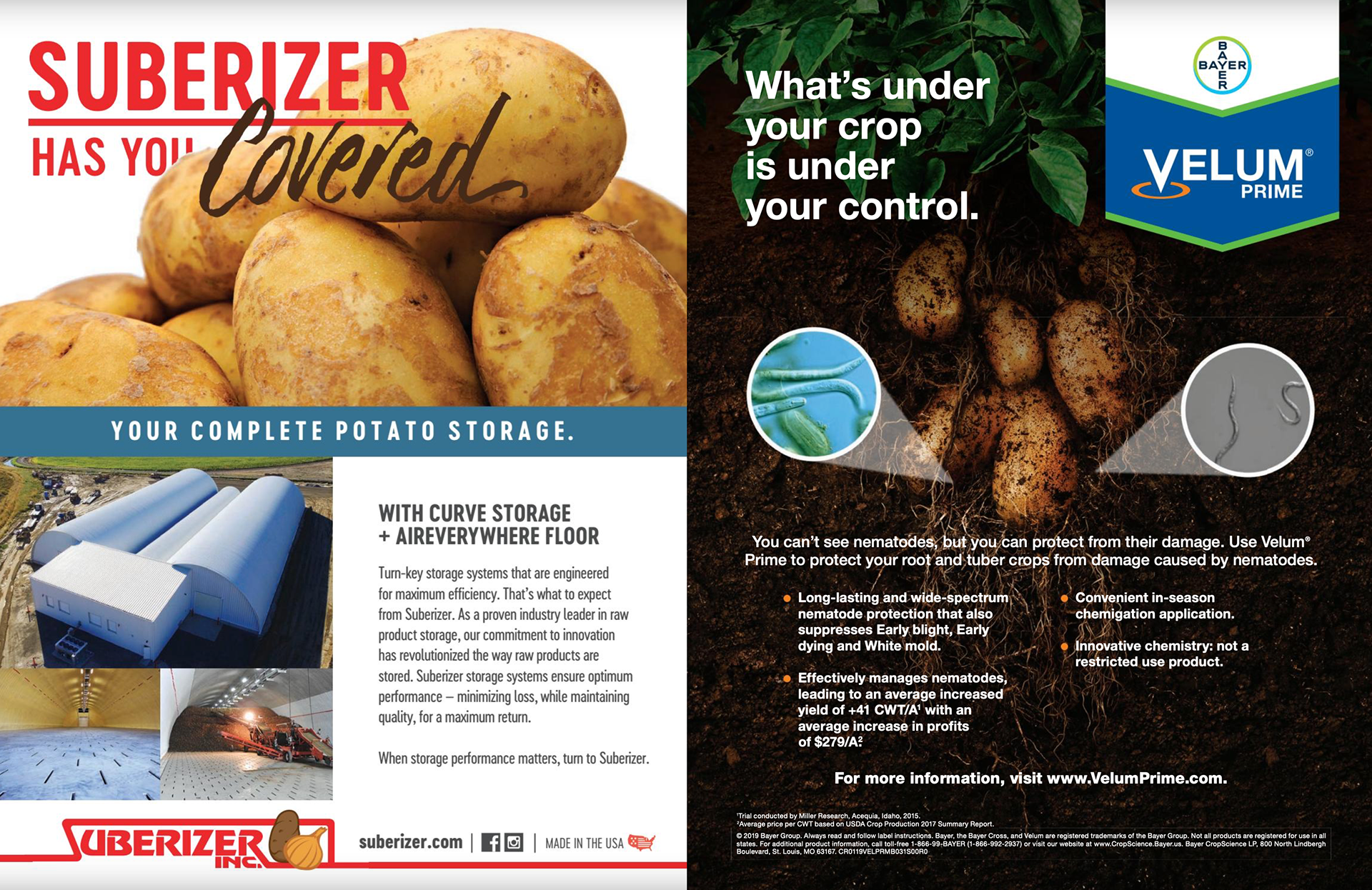 tear sheet of a Bayer Velum Prime print ad from Potato Country Magazine