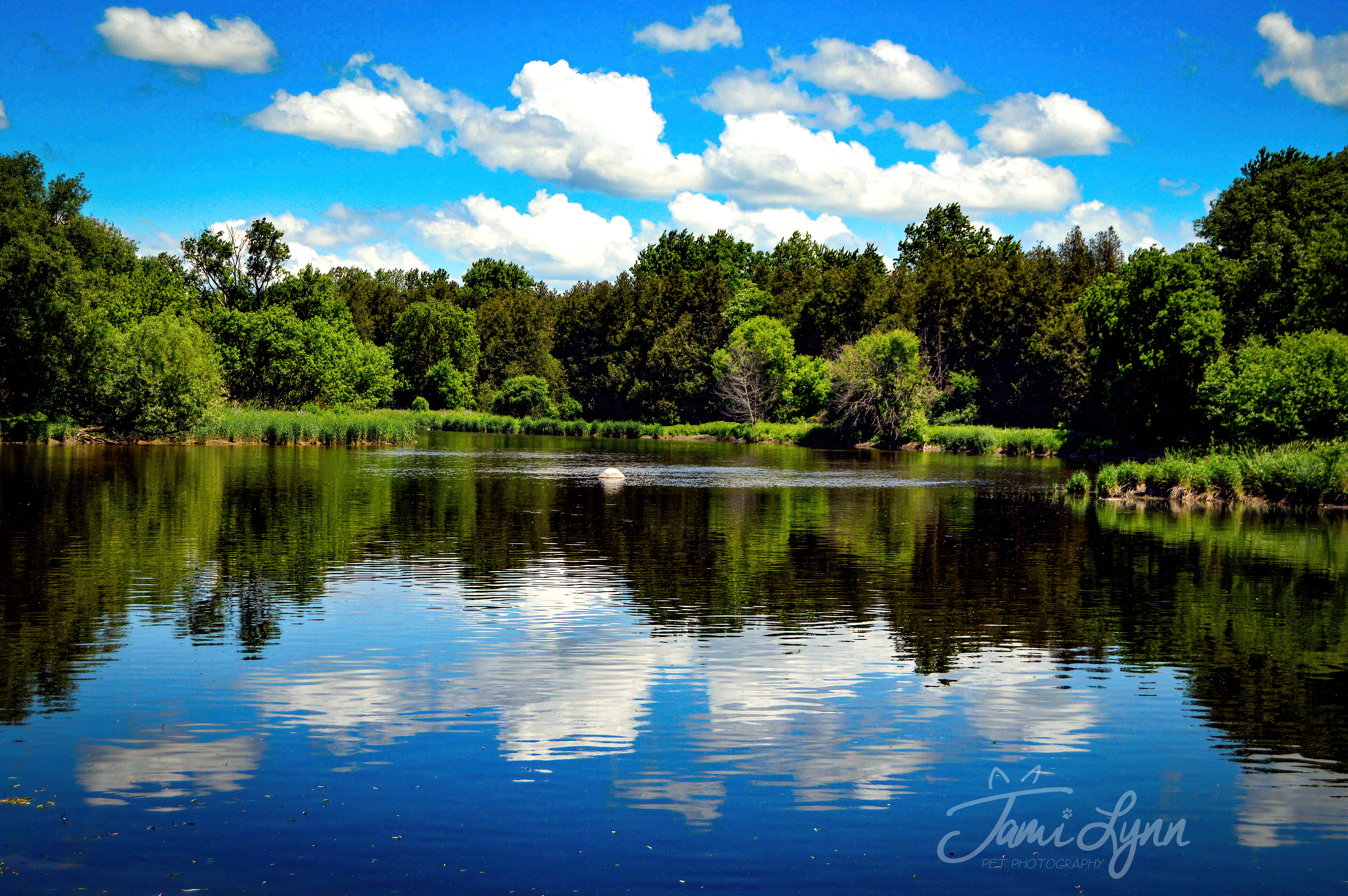 Beautiful natural scenery in Cambridge Ontario Canada