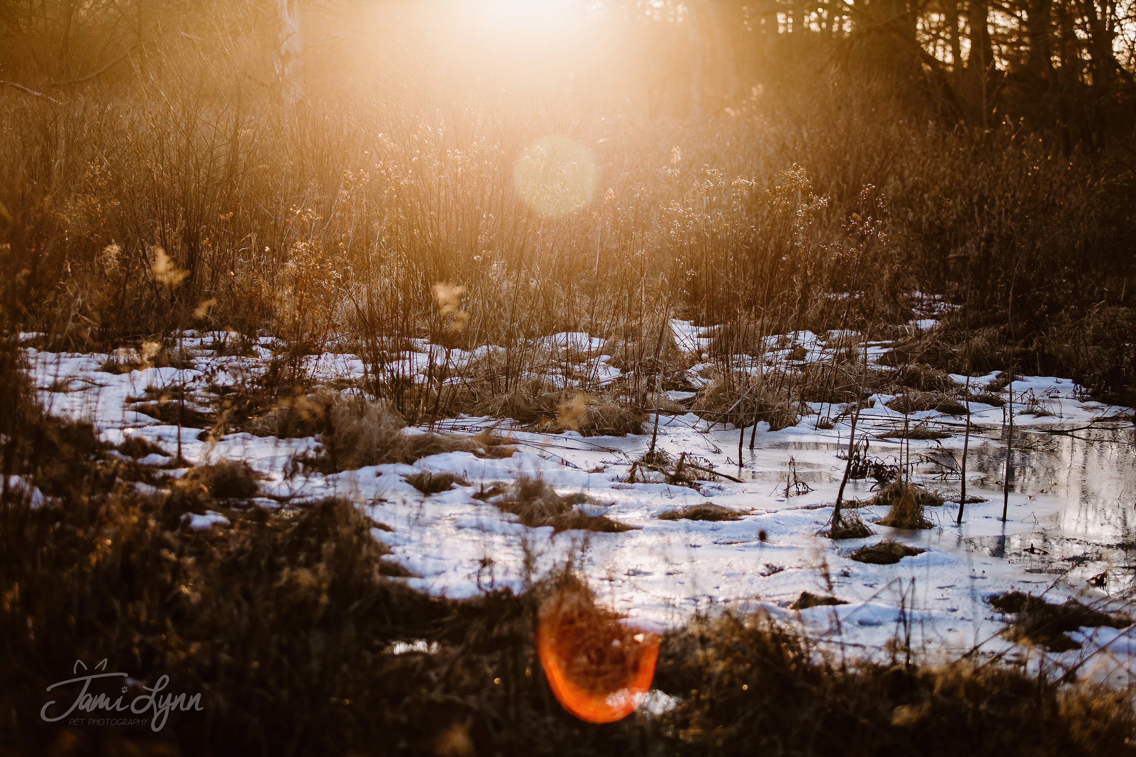 Sunset image over a landscape