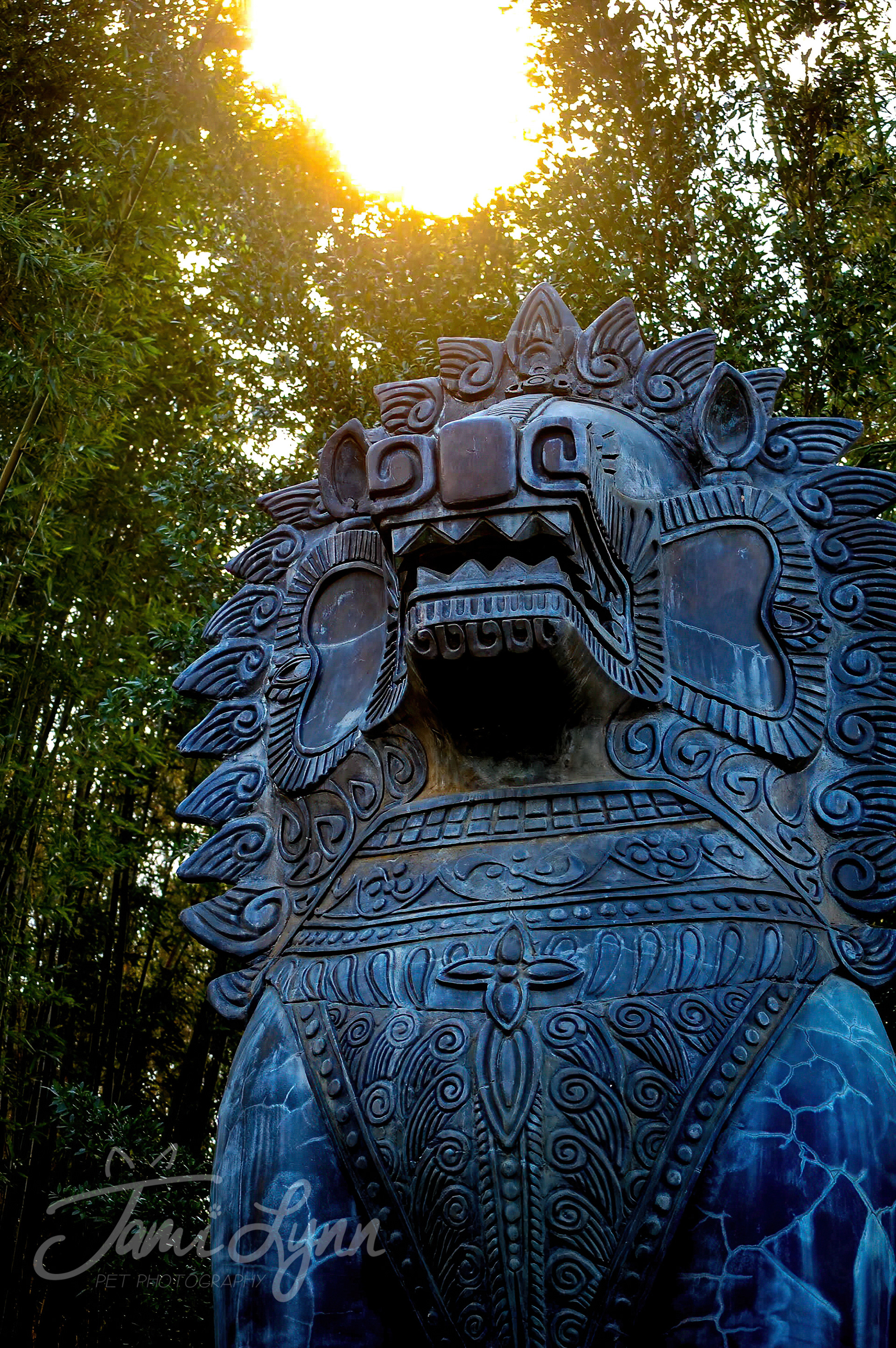Sunset in the Asian section of Australia zoo