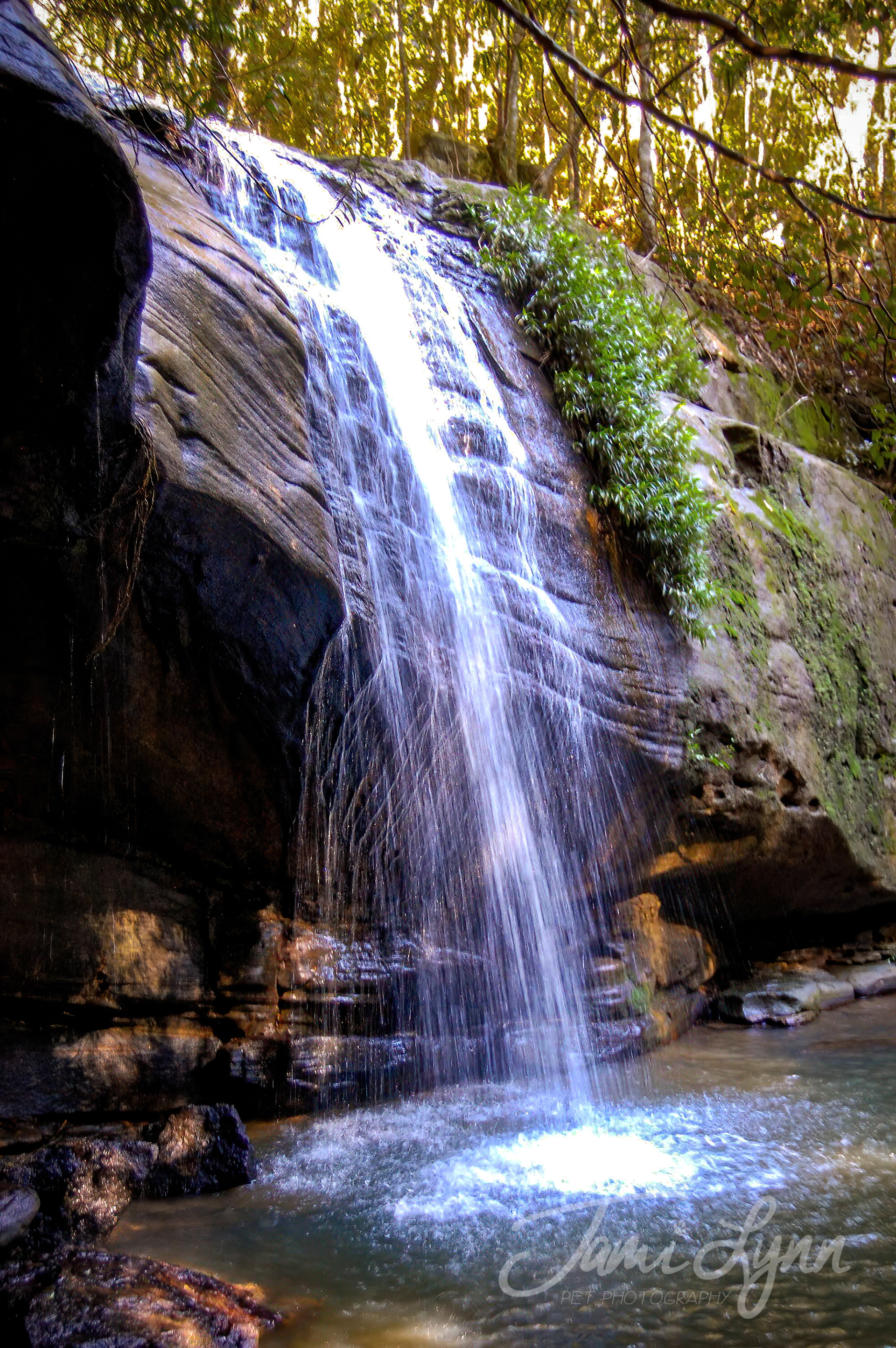 Buderim Falls in Queensland Australia