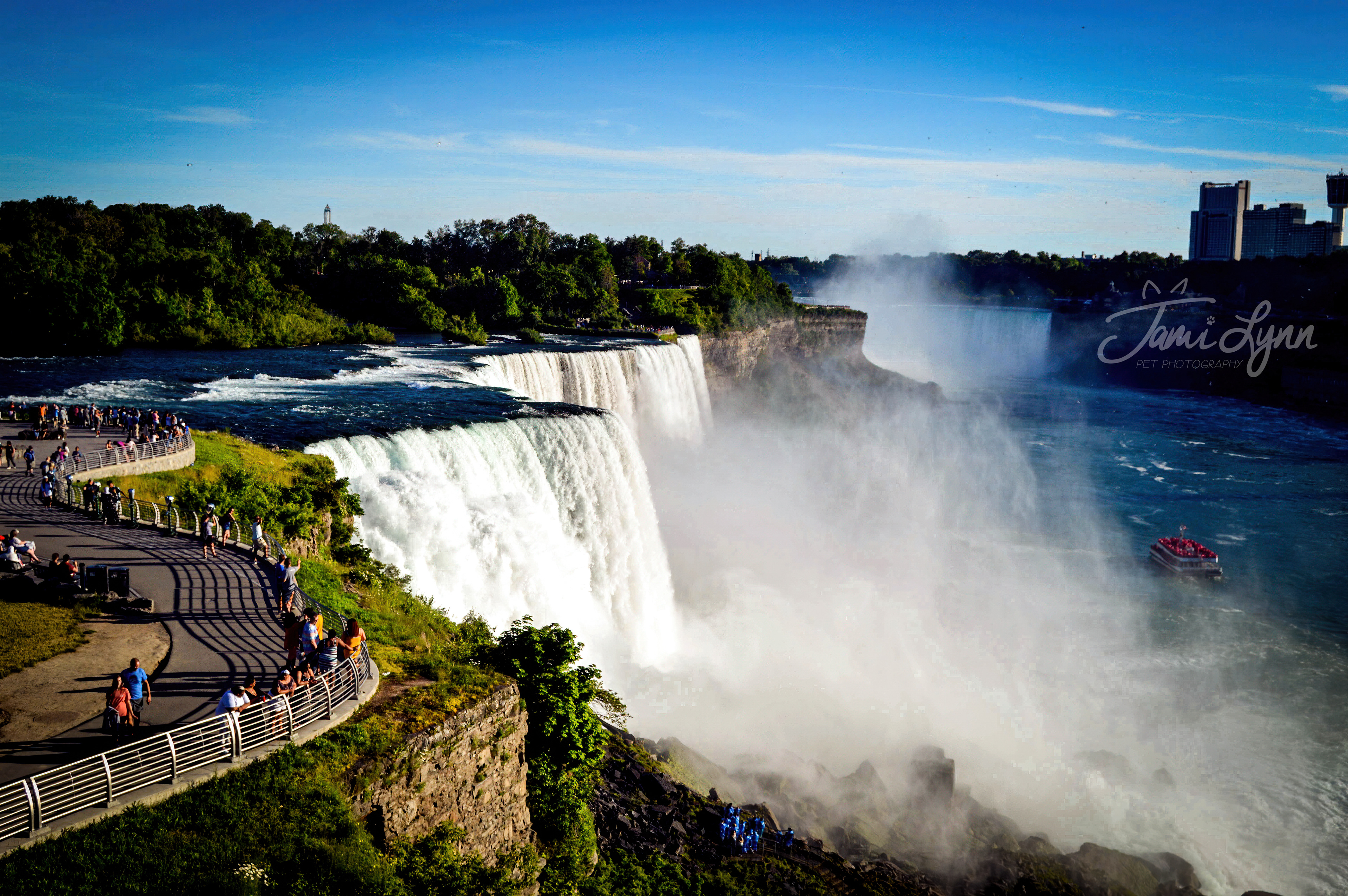 View of Niagara Falls from the New York side