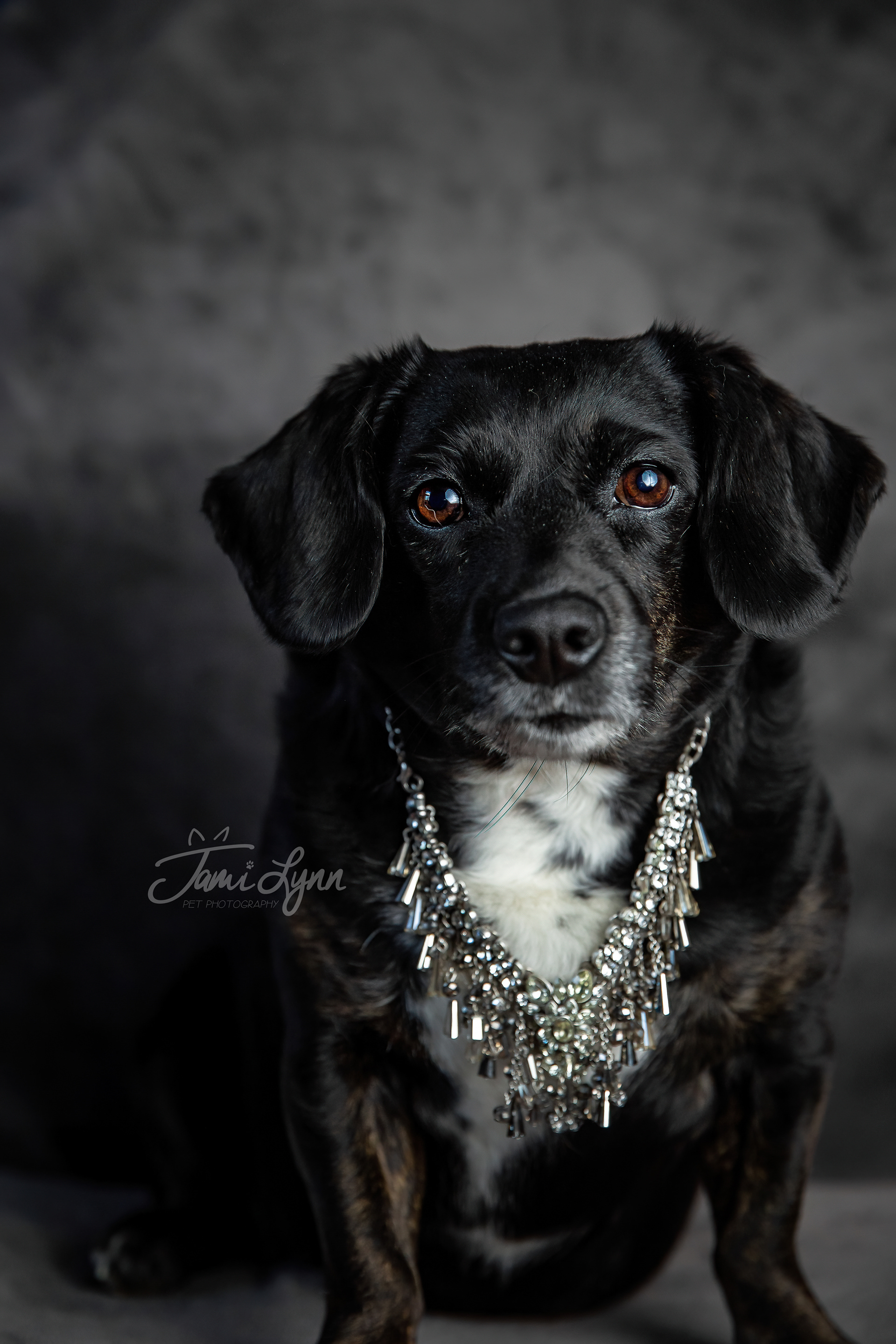 Diamonds are a girls best friend