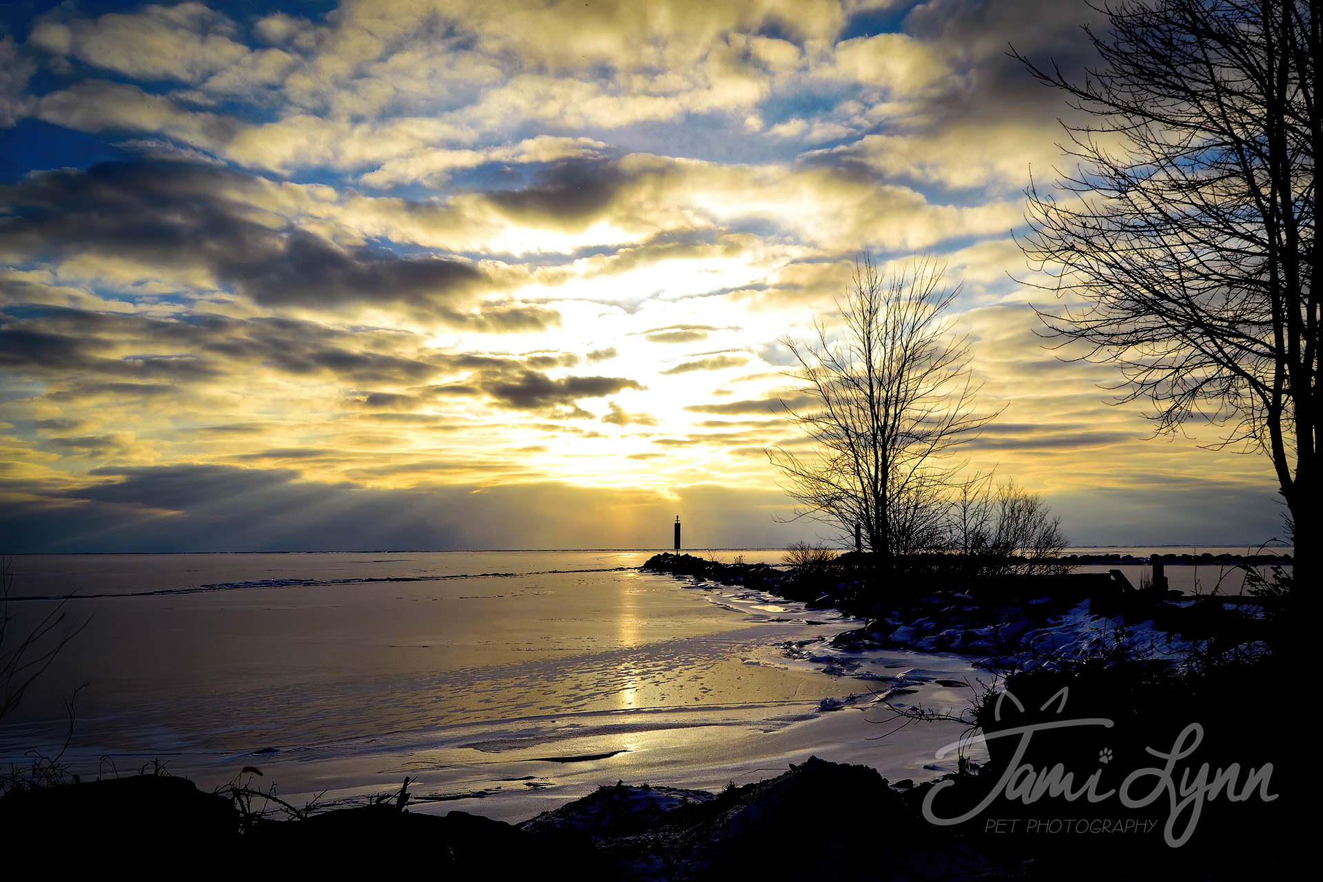 Landscape photo of water flowing through snowy banks