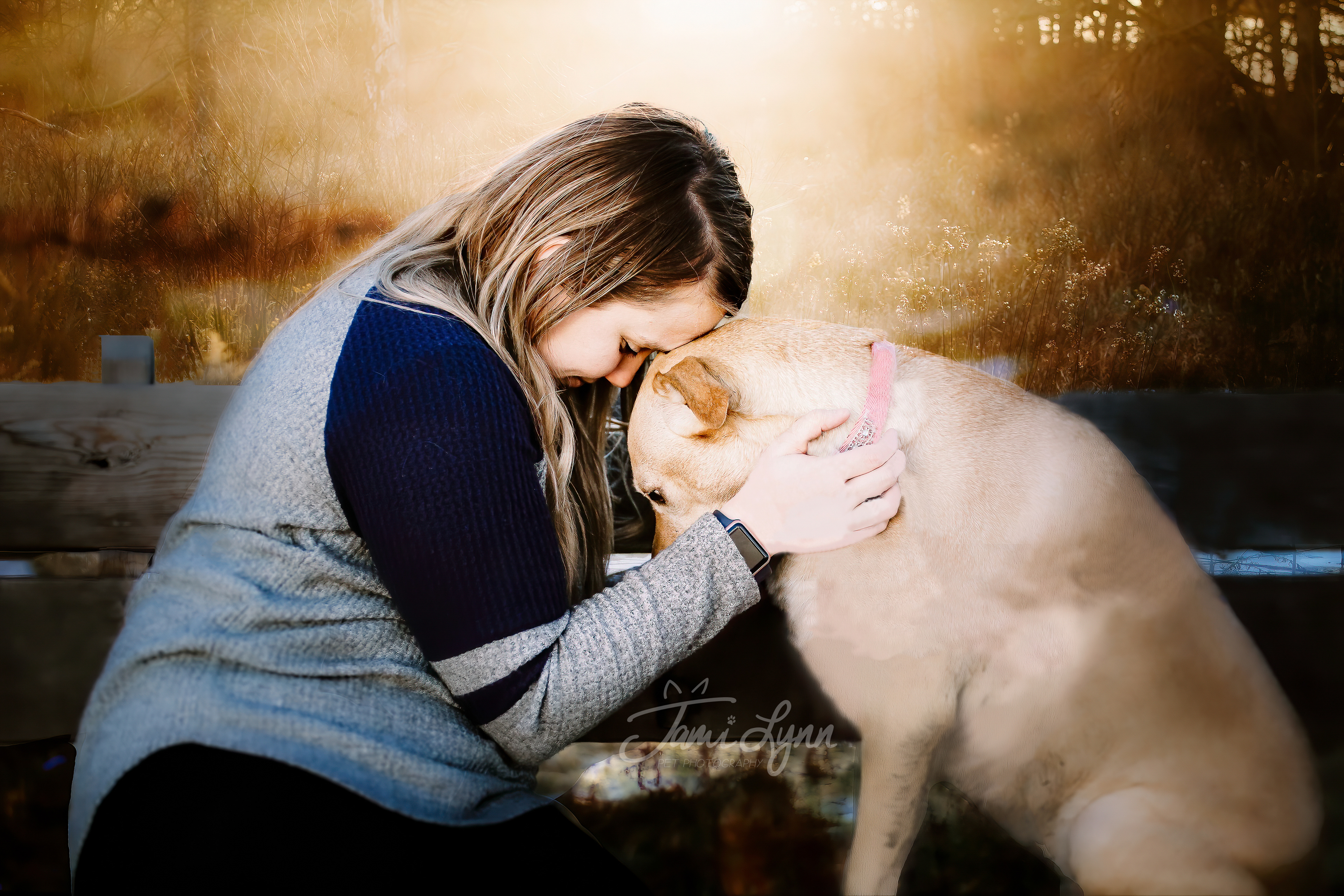 Touching foreheads outdoor owner and dog portrait