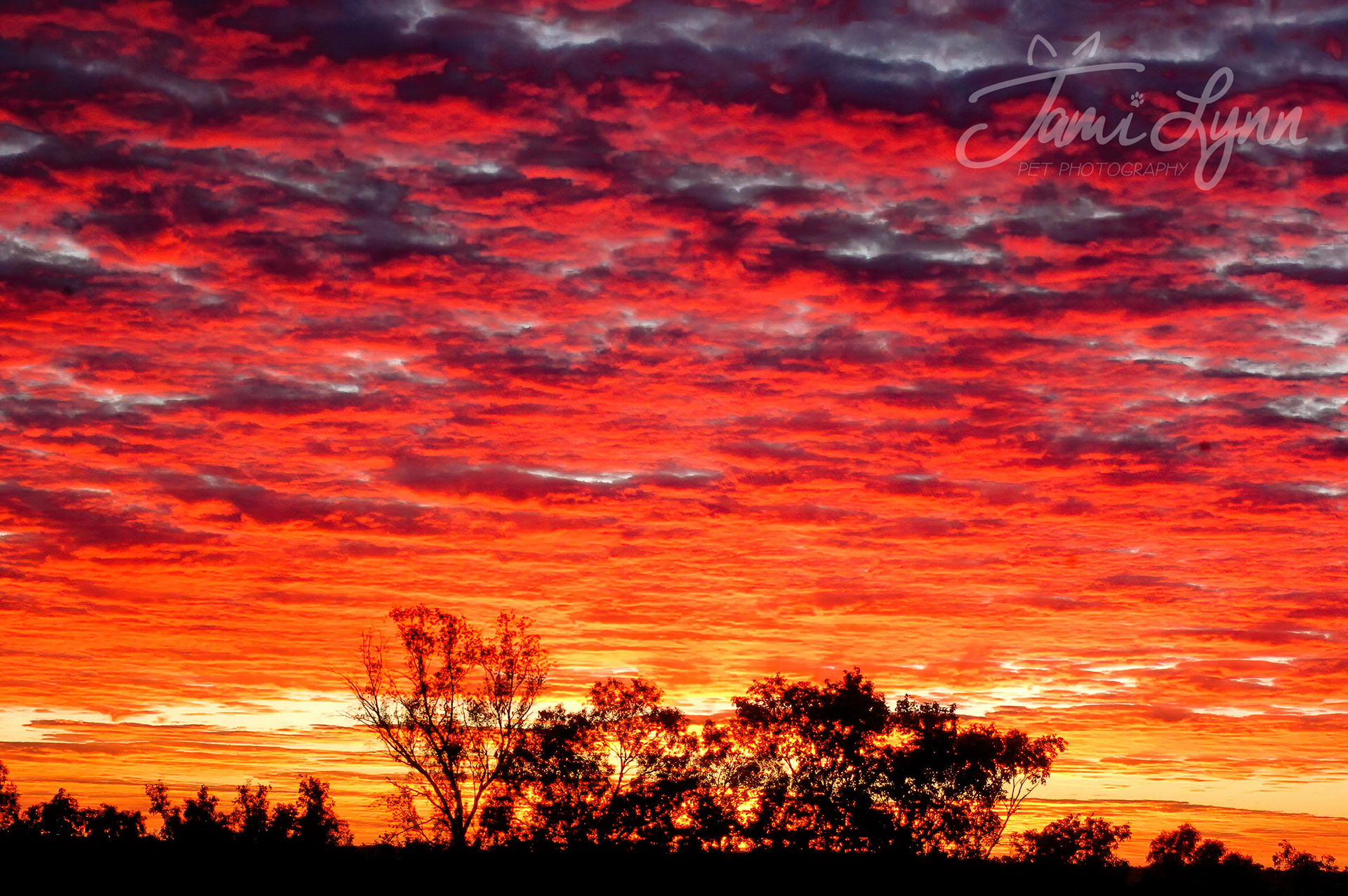 Sunrise photography in Uluru Australia