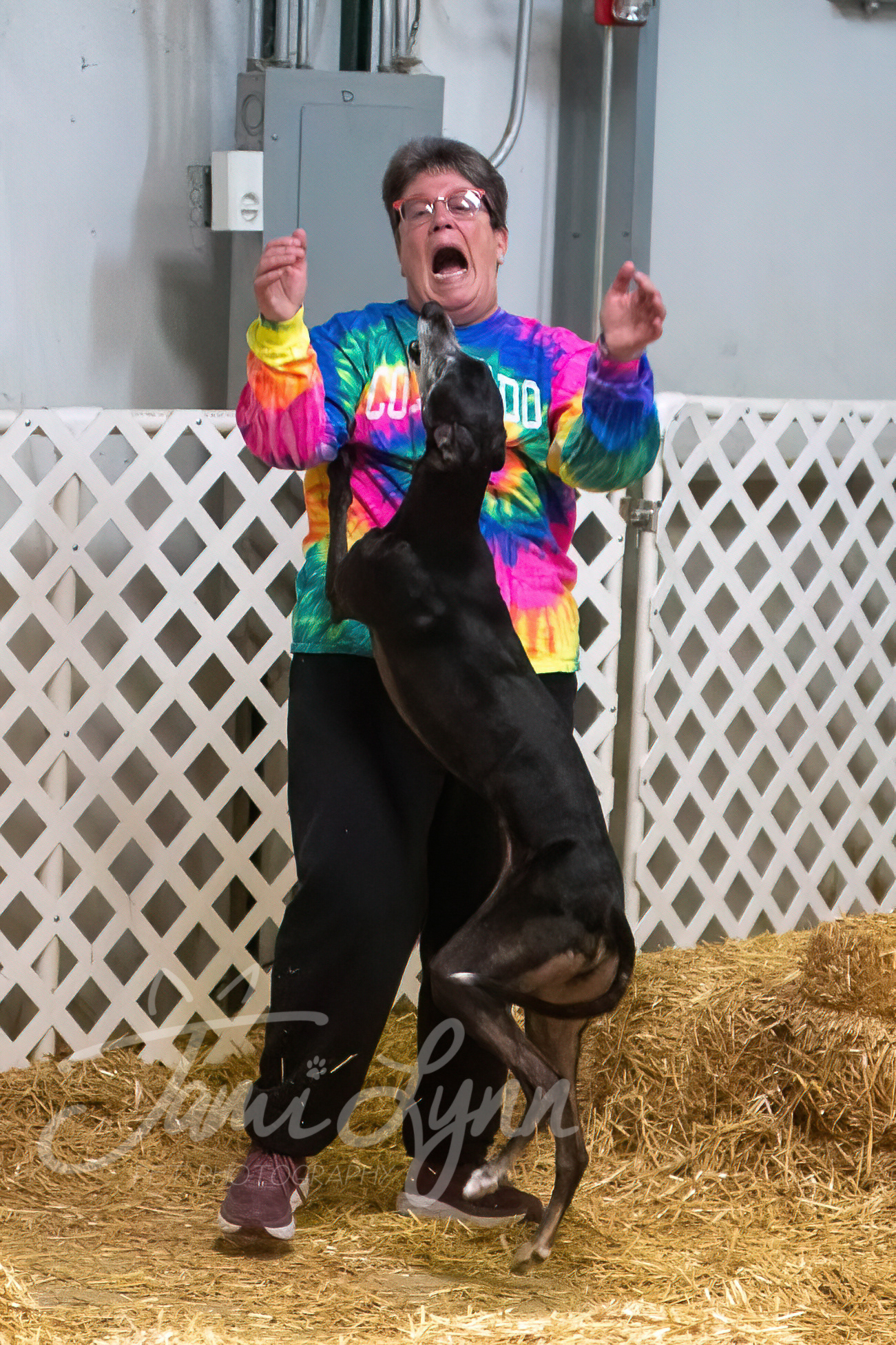 Barn hunt dog and owner celebration