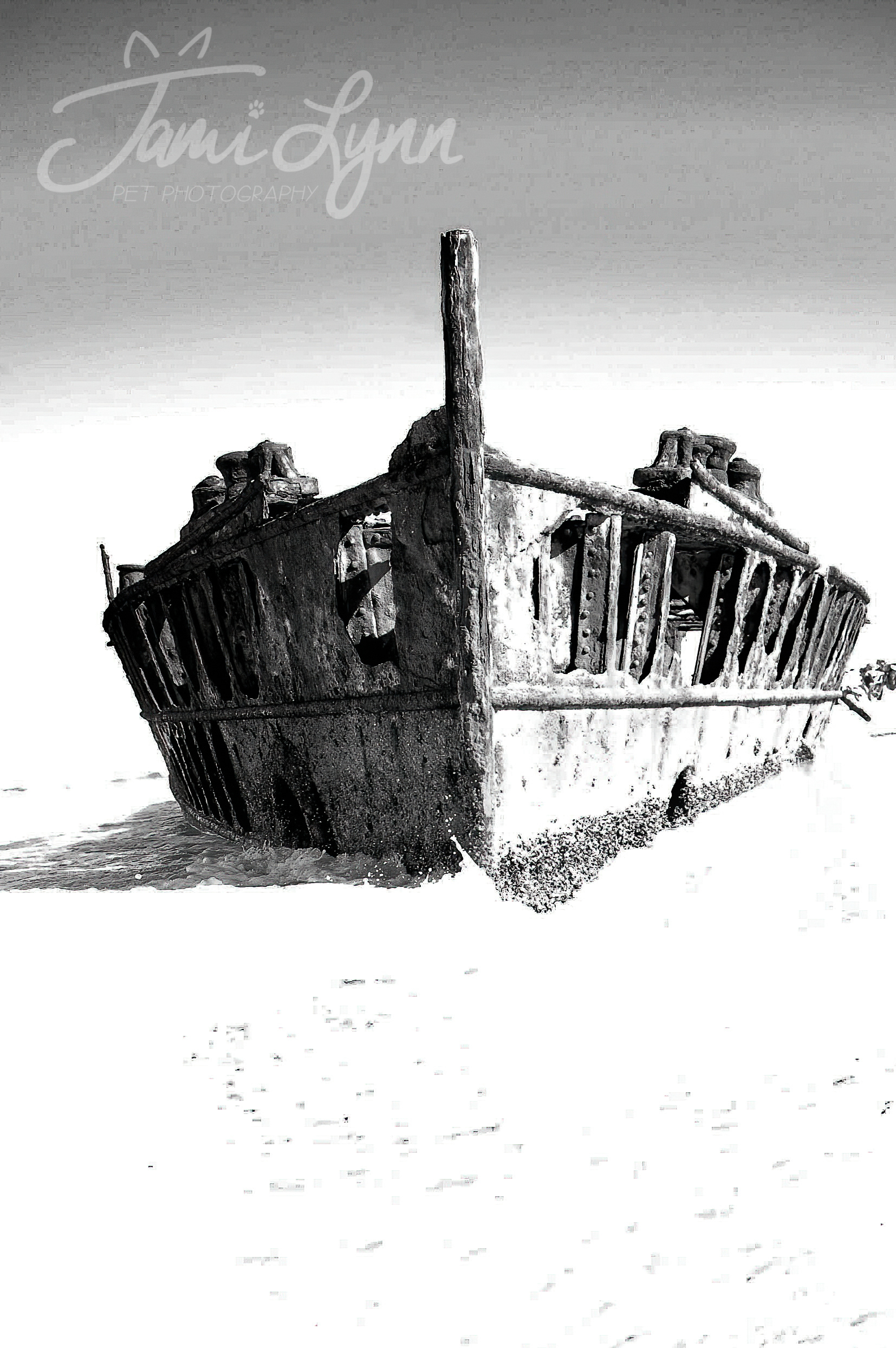 Black and white photograph of the Frasier Island shipwreck in Australia