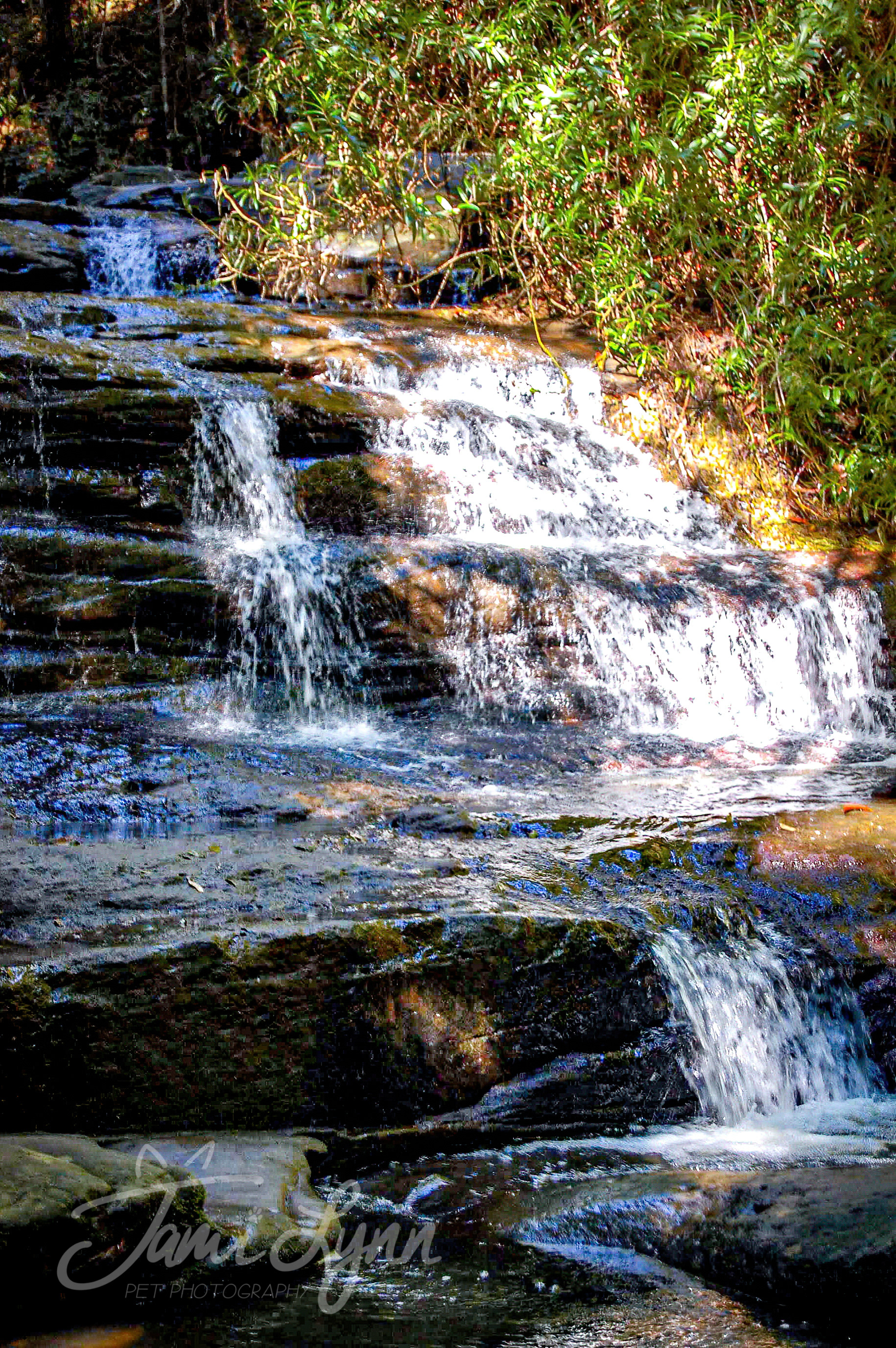 Buderim Falls in Queensland Australia