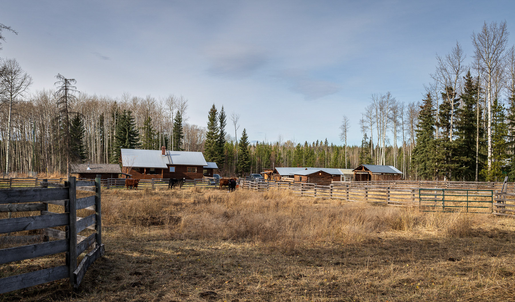 Nechako Landscapes 2025/10