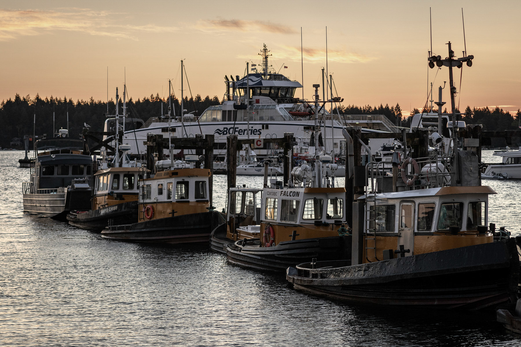 Nanaimo Harbour - the working waterfront - 2025/09