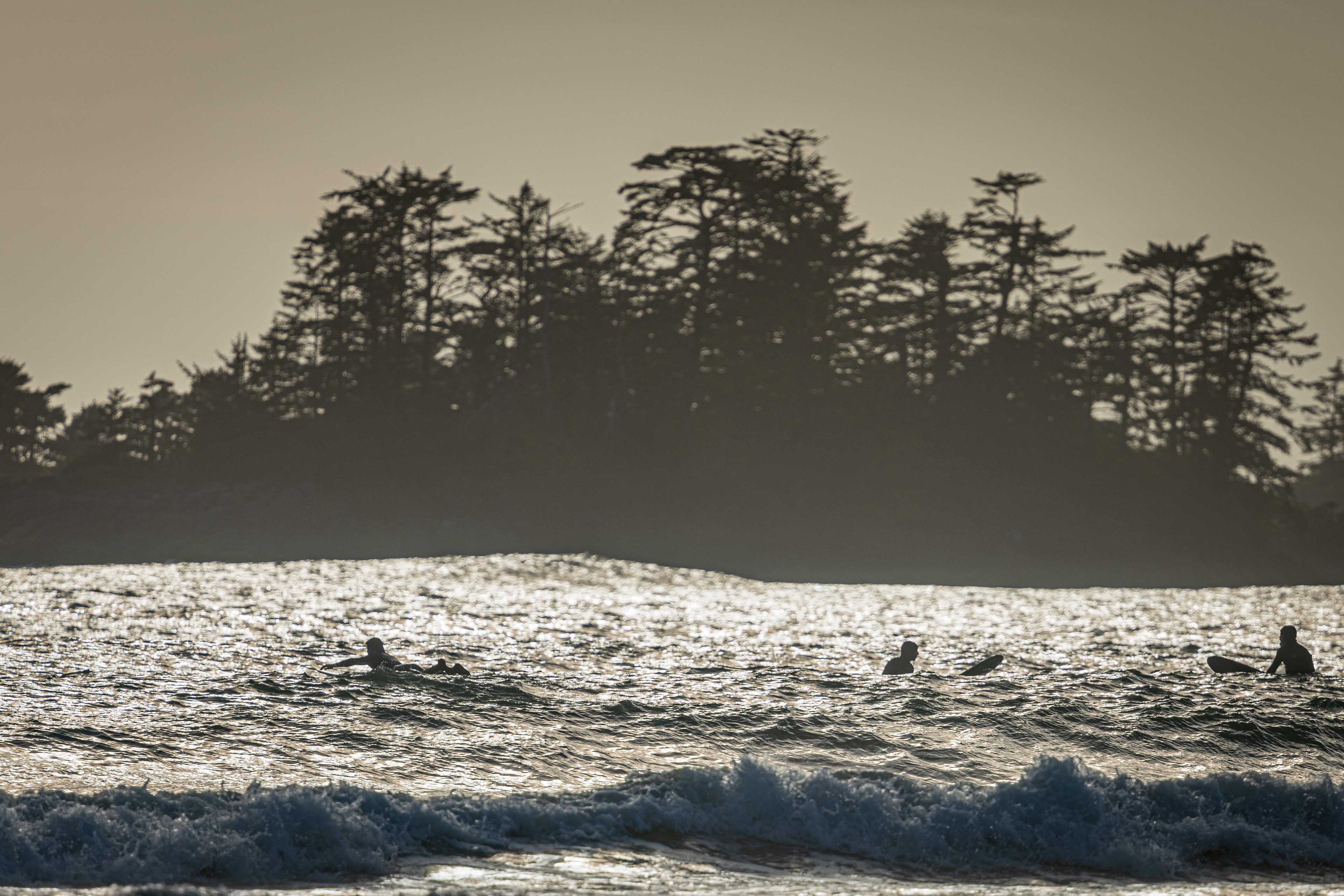 Late afternoon surfers Tofino BC Canada