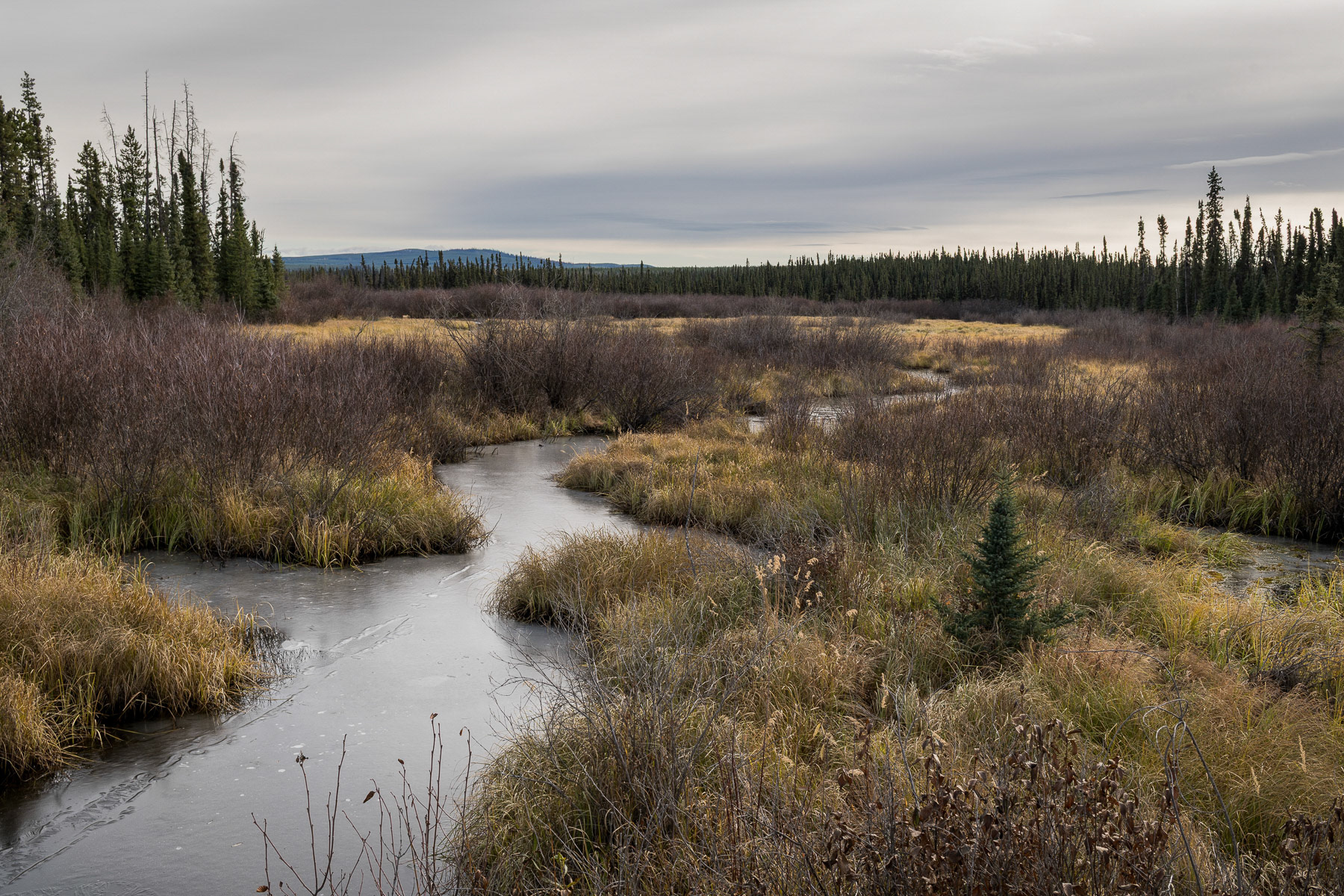 Nechako Landscapes 2025/10
