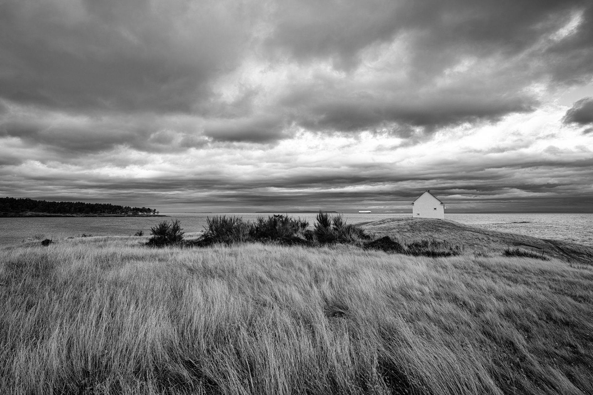 Wind on East point, Saturna Island, BC