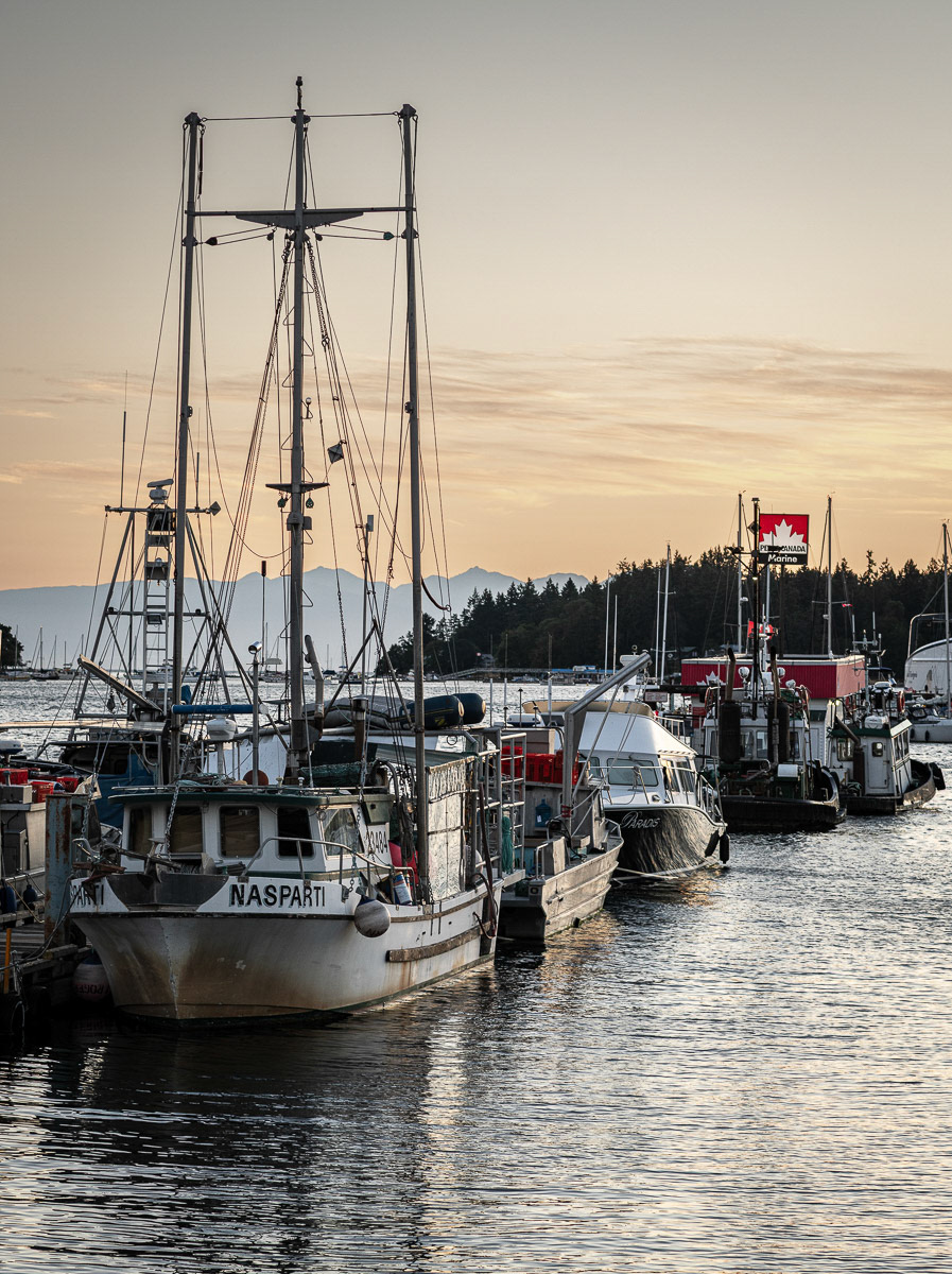 Nanaimo Harbour - the working waterfront - 2025/09