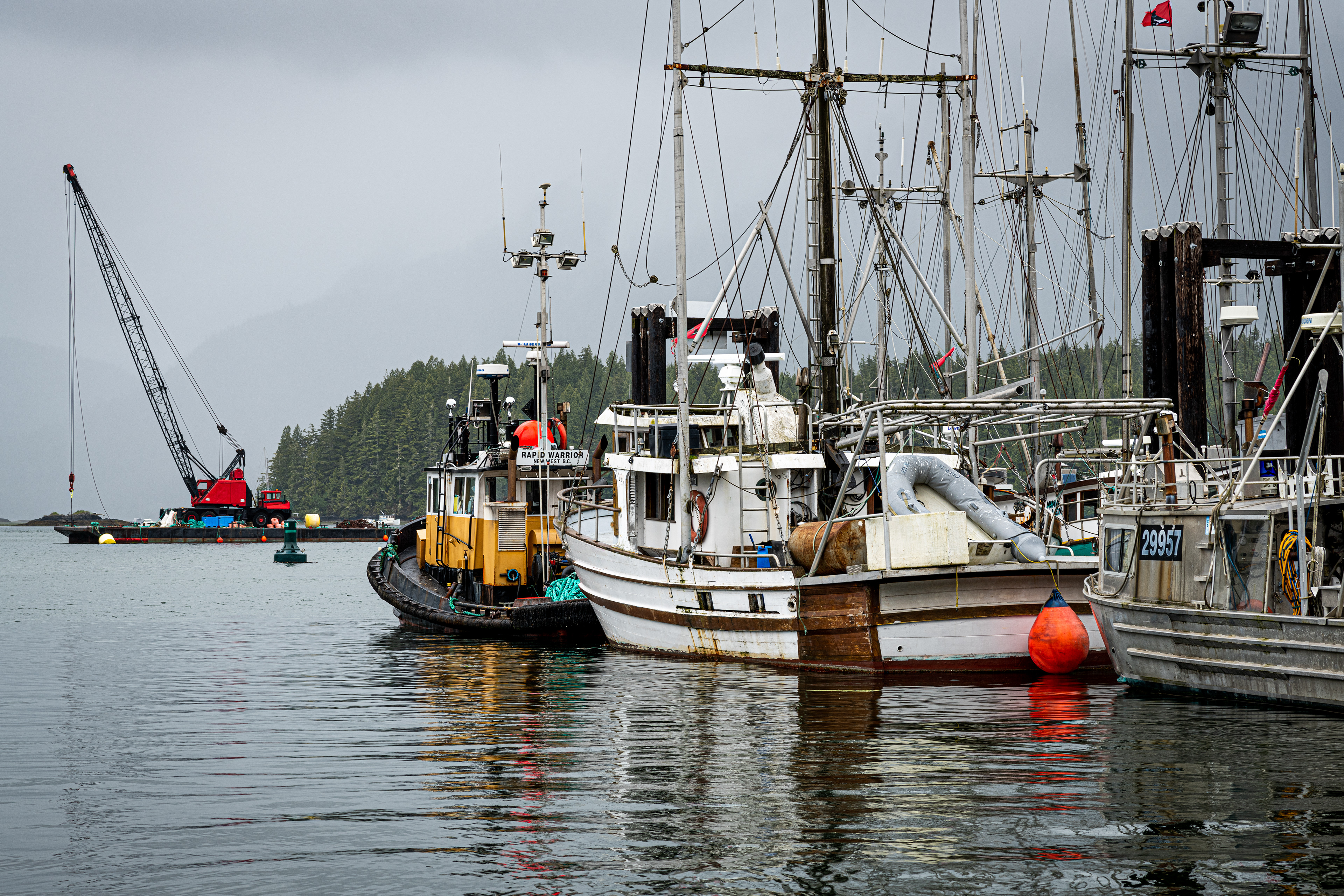 Tow and fish boats at Tofino Harbour, BC, Canada