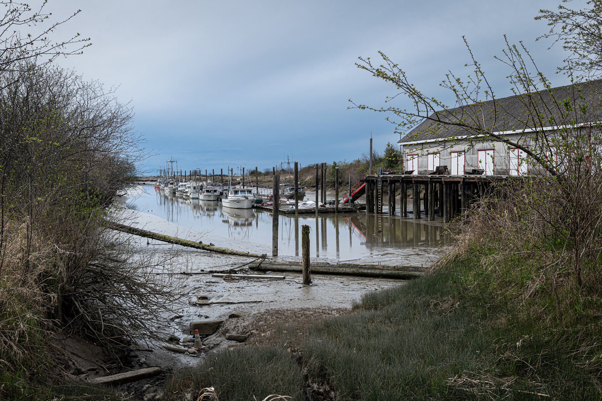 small fleet of gill netter commercial fishboats moored in calm reflecting waters at Scotch Point , Steveston, BC, 