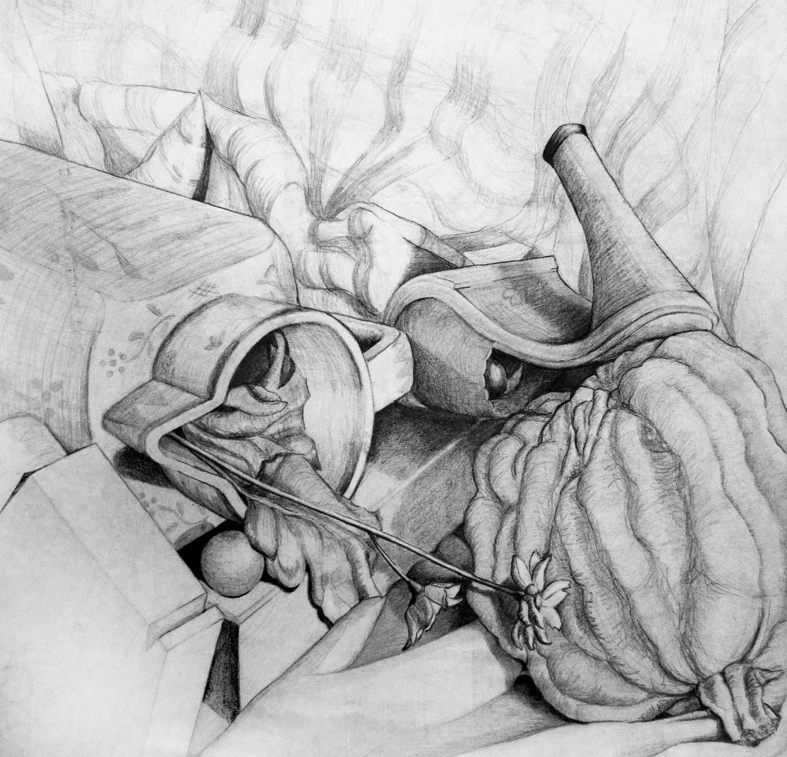 Graphite on paper illustration 