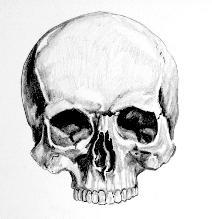 Graphite on paper illustration 