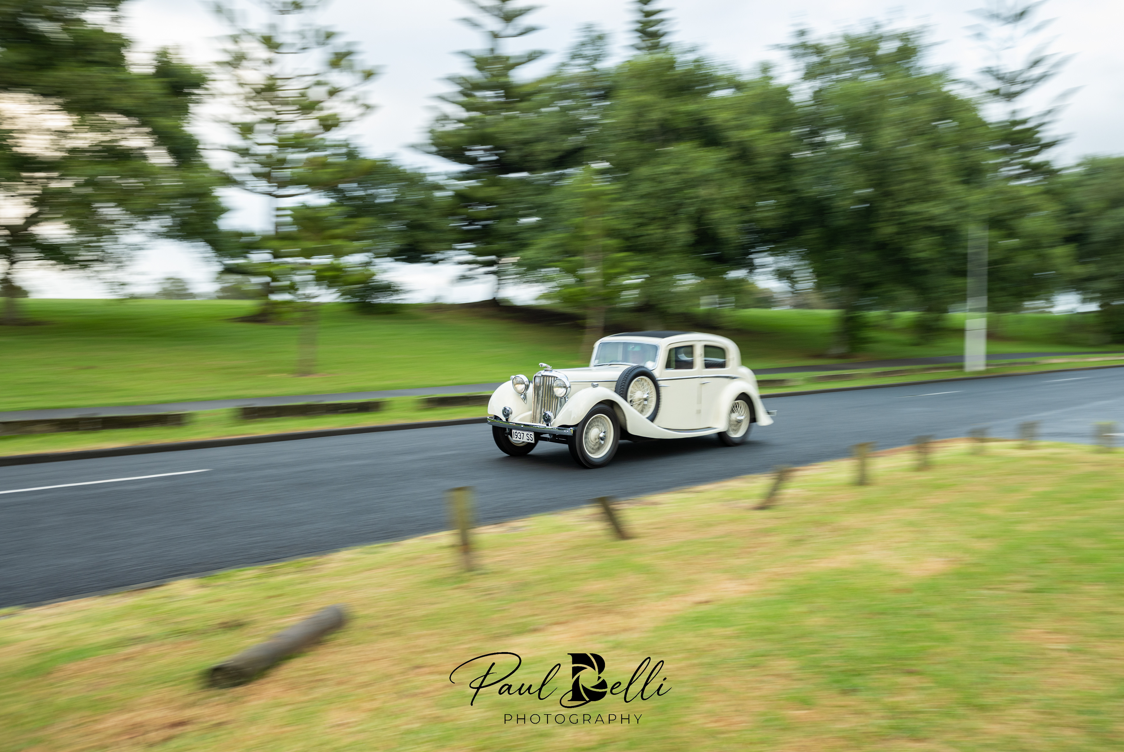 Morning Panning 7