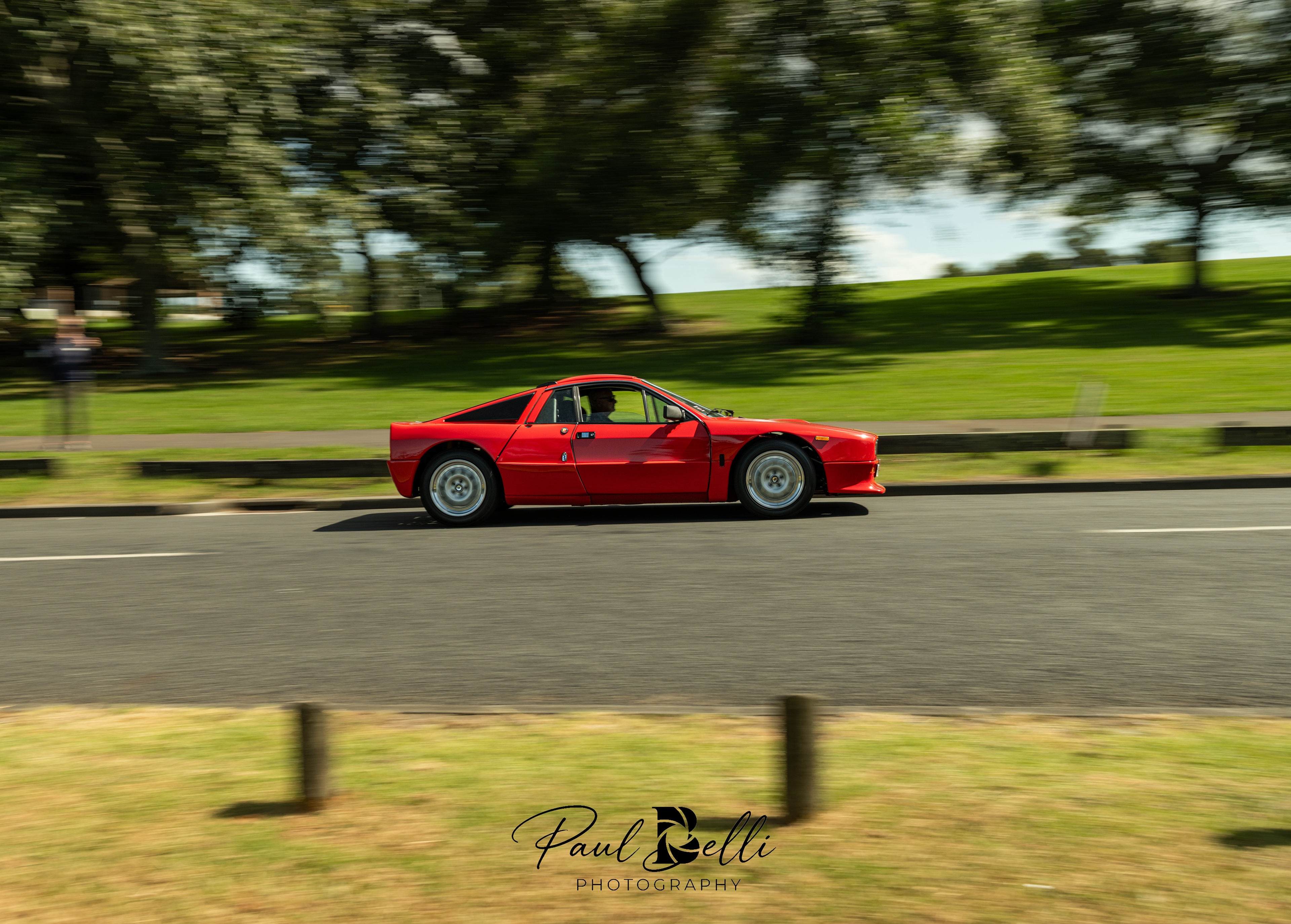 Afternoon Panning 103