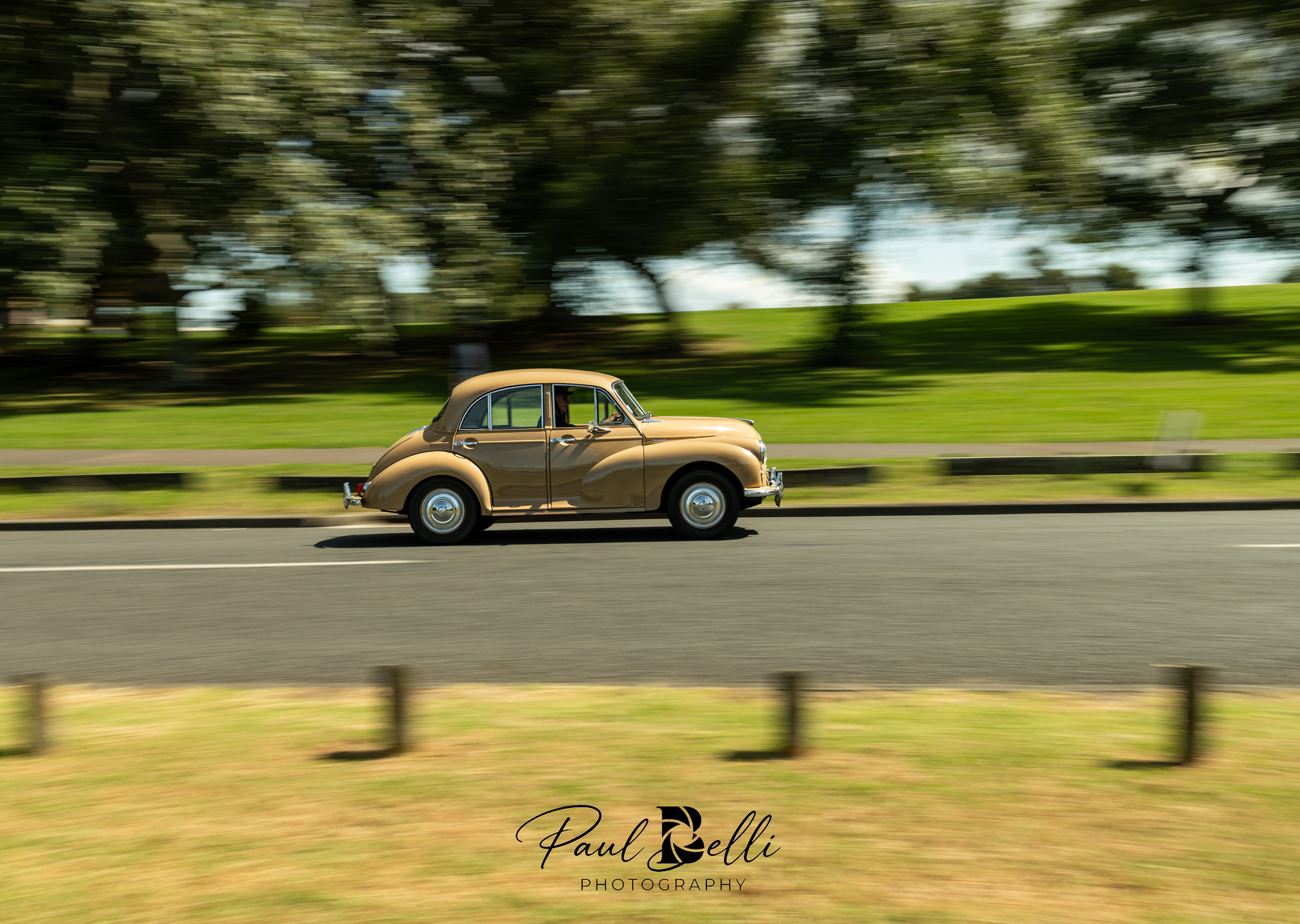 Afternoon Panning 81