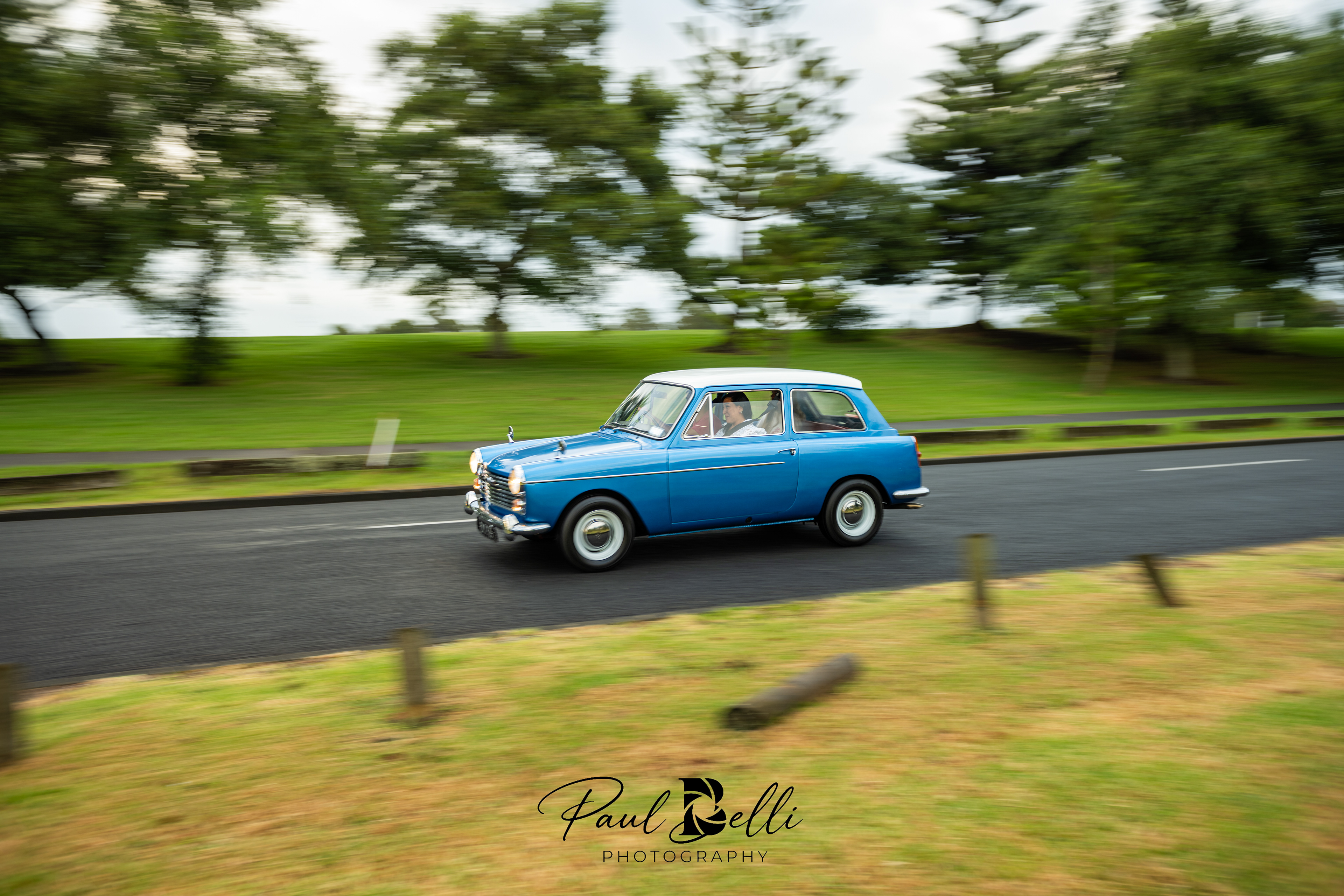 Morning Panning 15