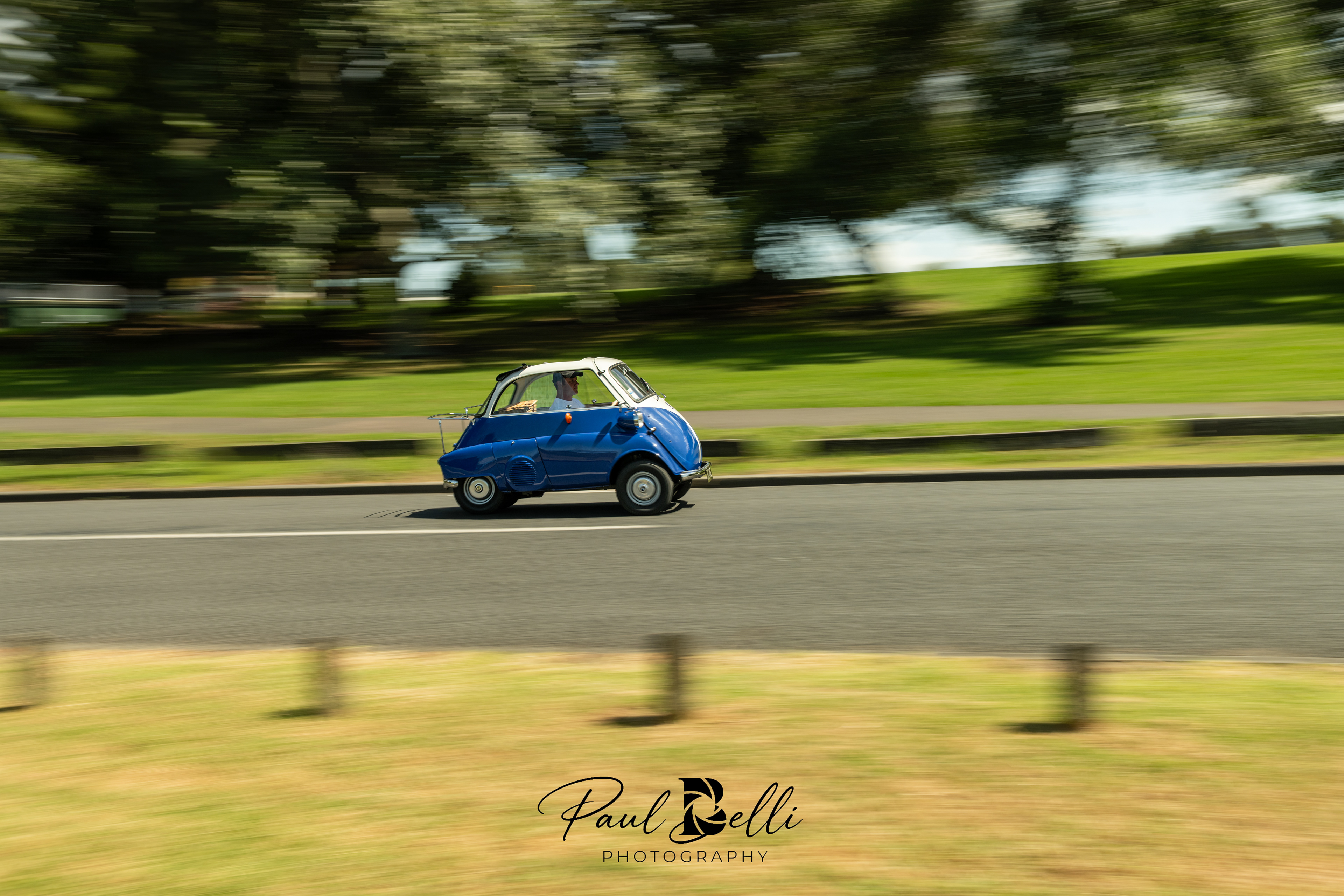 Afternoon Panning 40