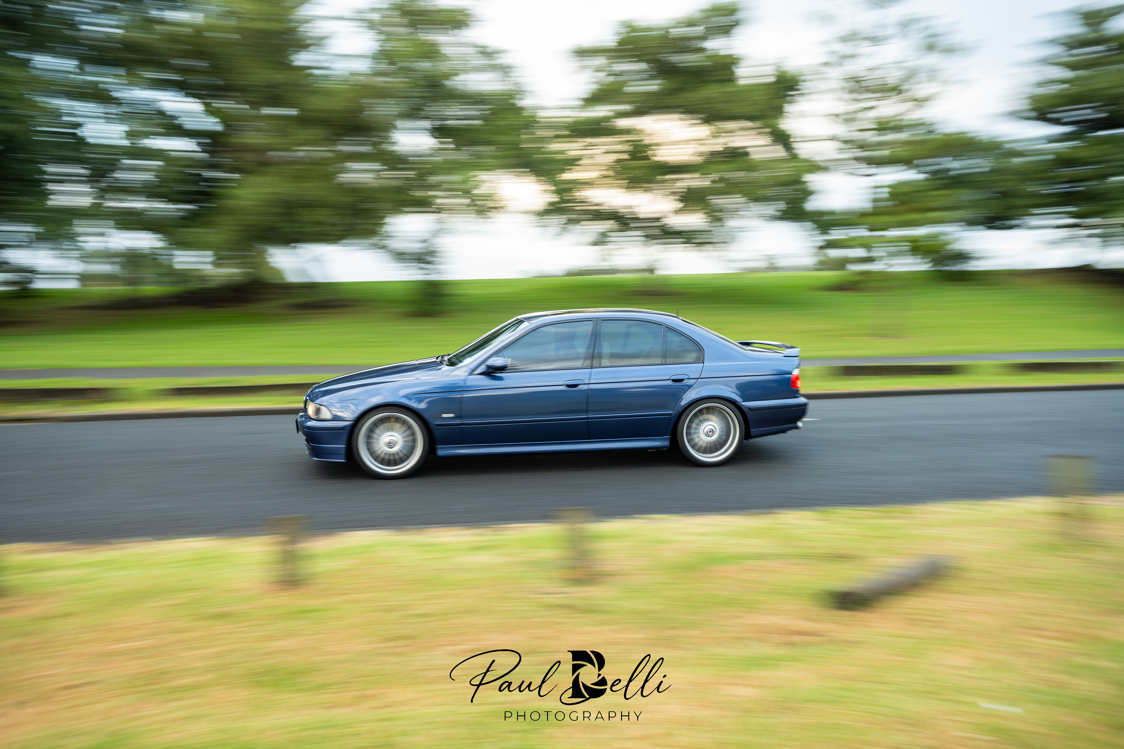 Morning Panning 5