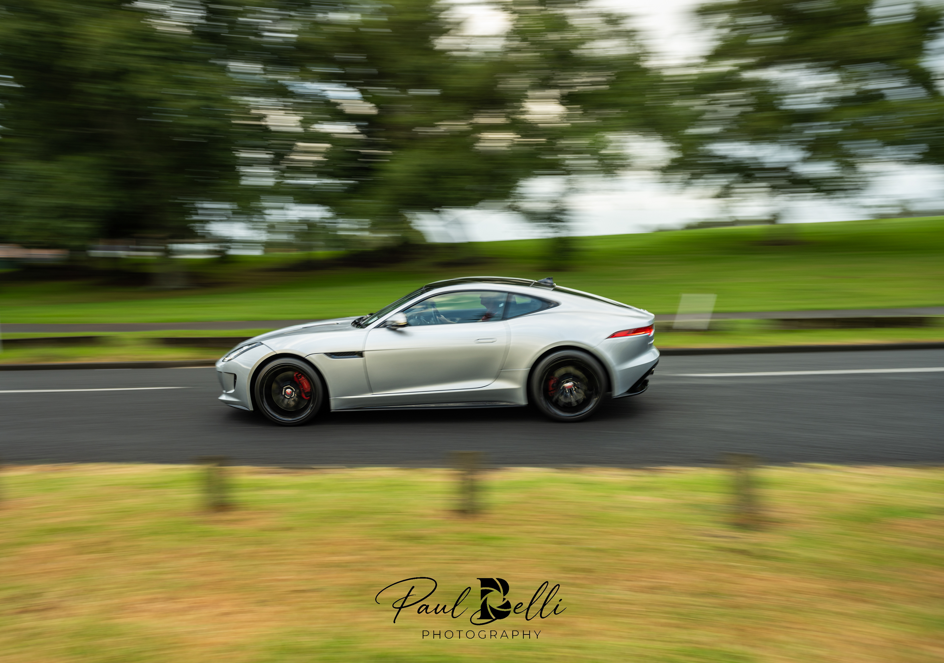Morning Panning 16