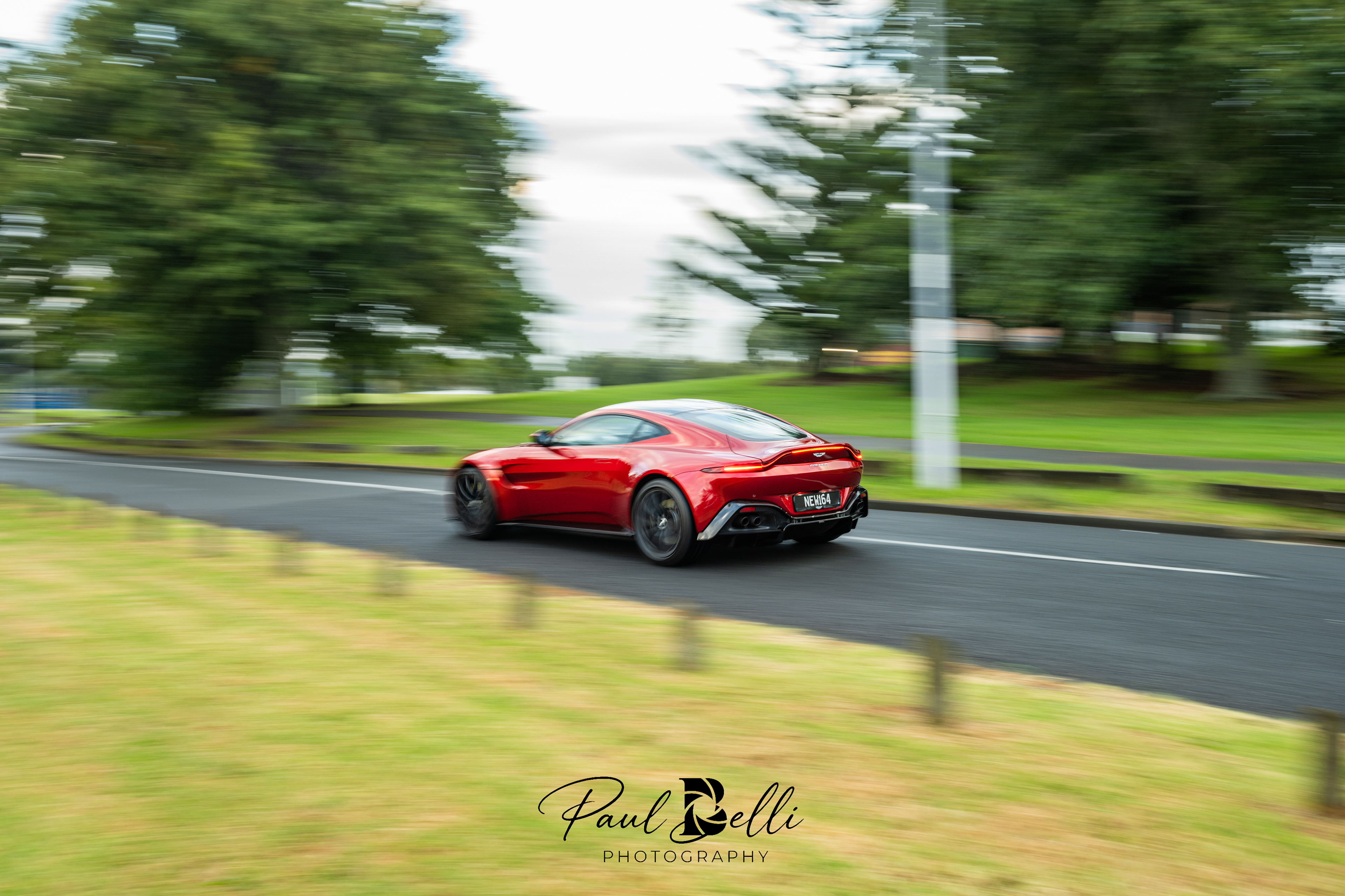 Morning Panning 11