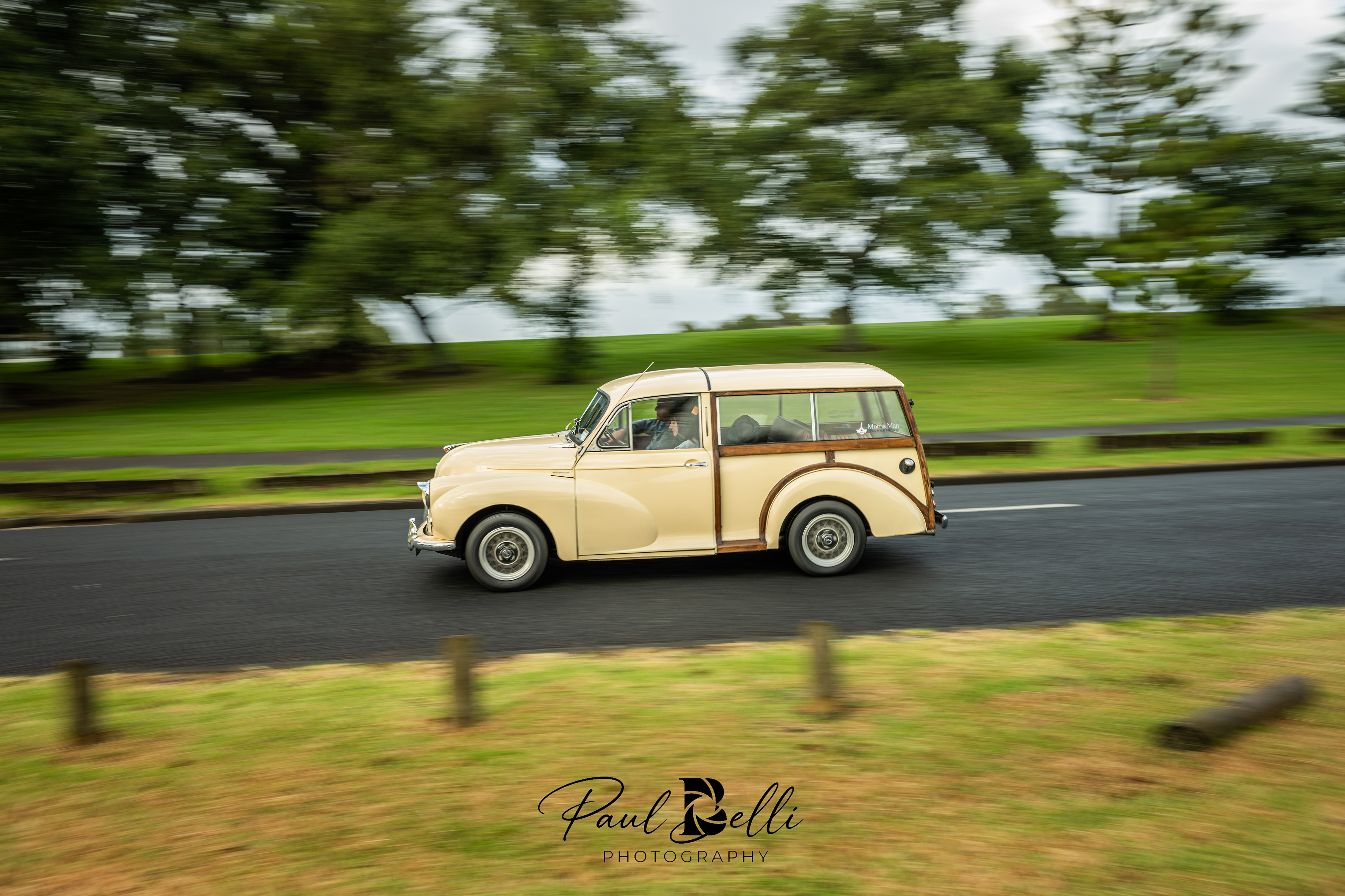 Morning Panning 37
