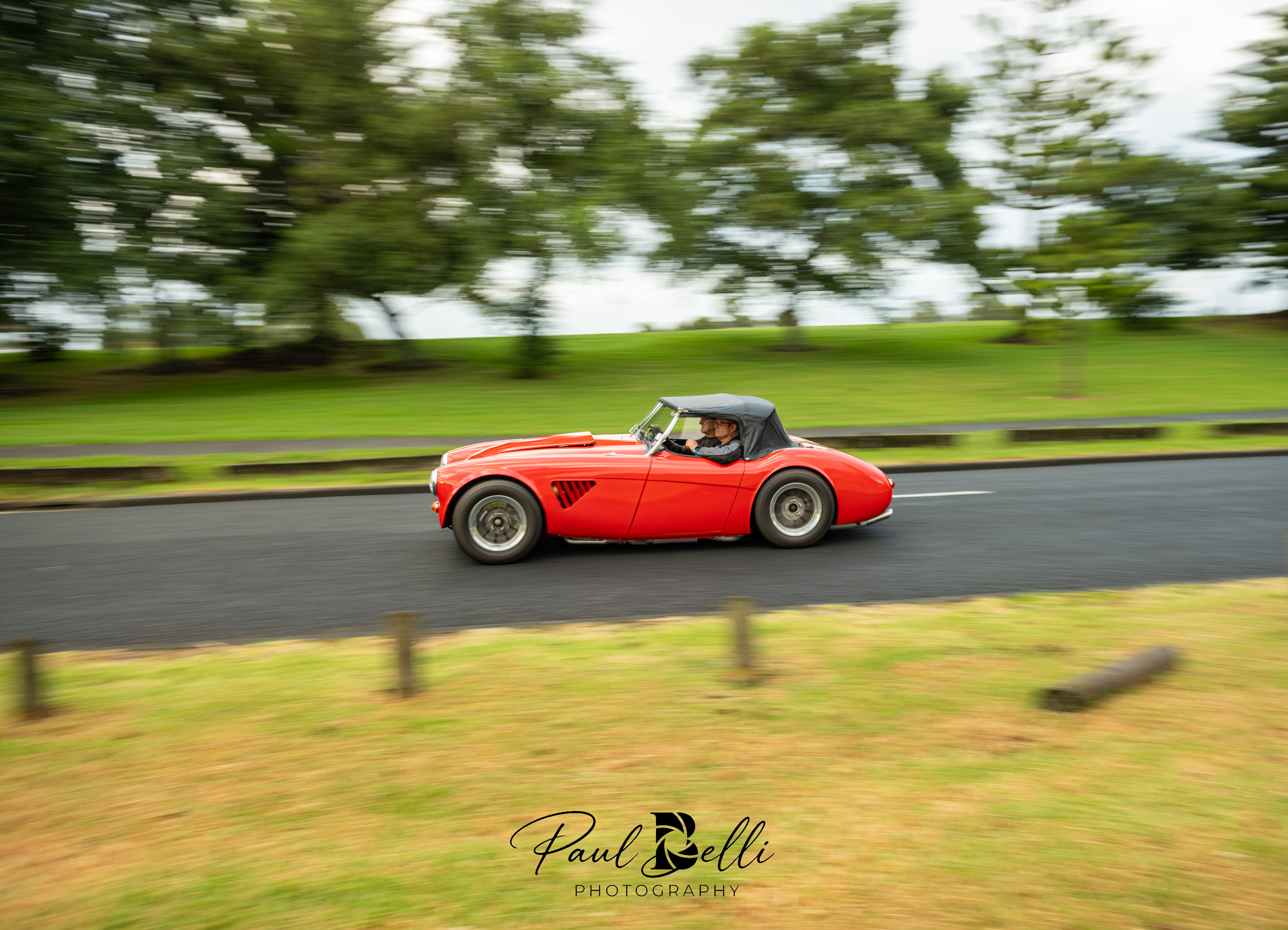 Morning Panning 23