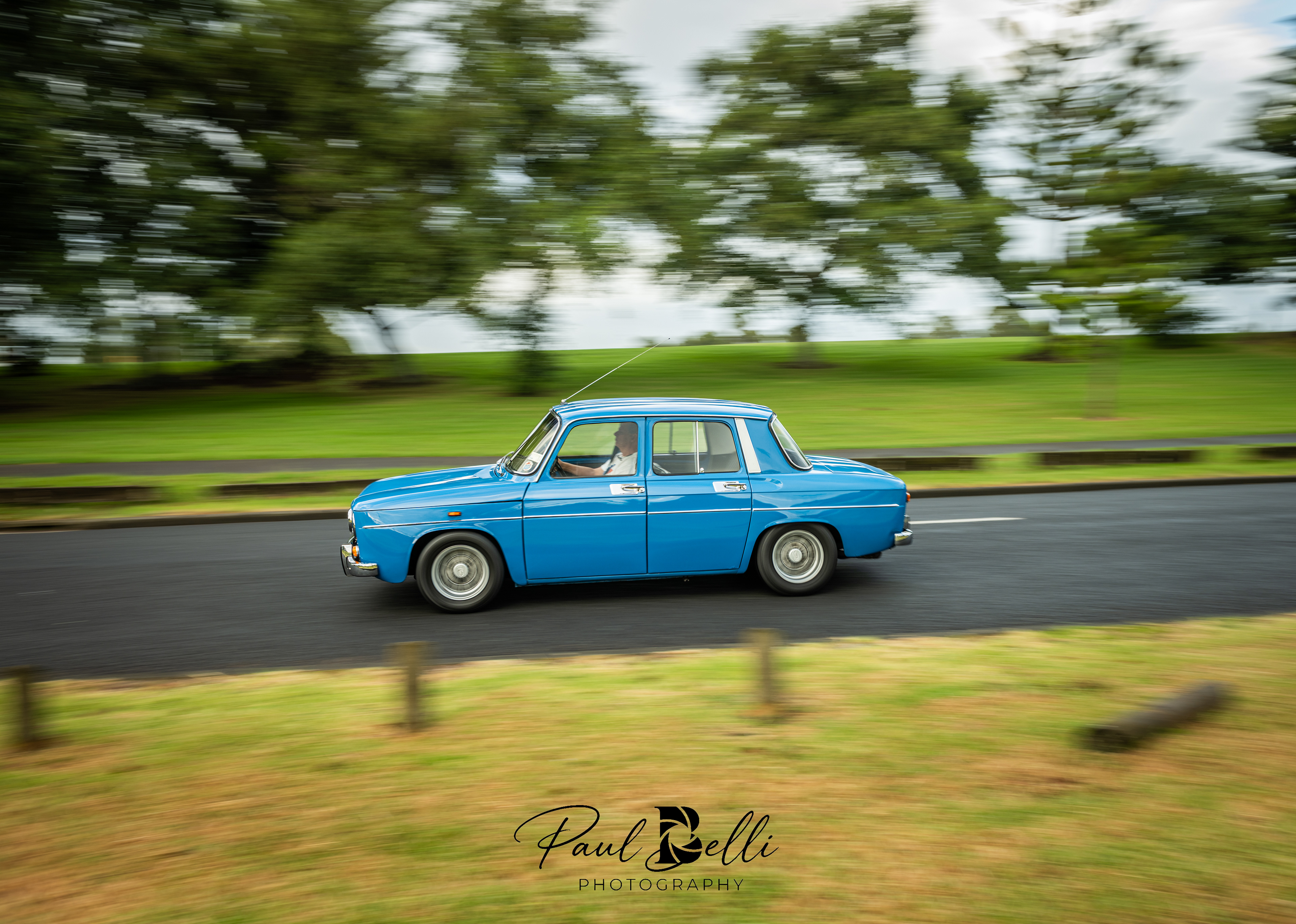 Morning Panning 36