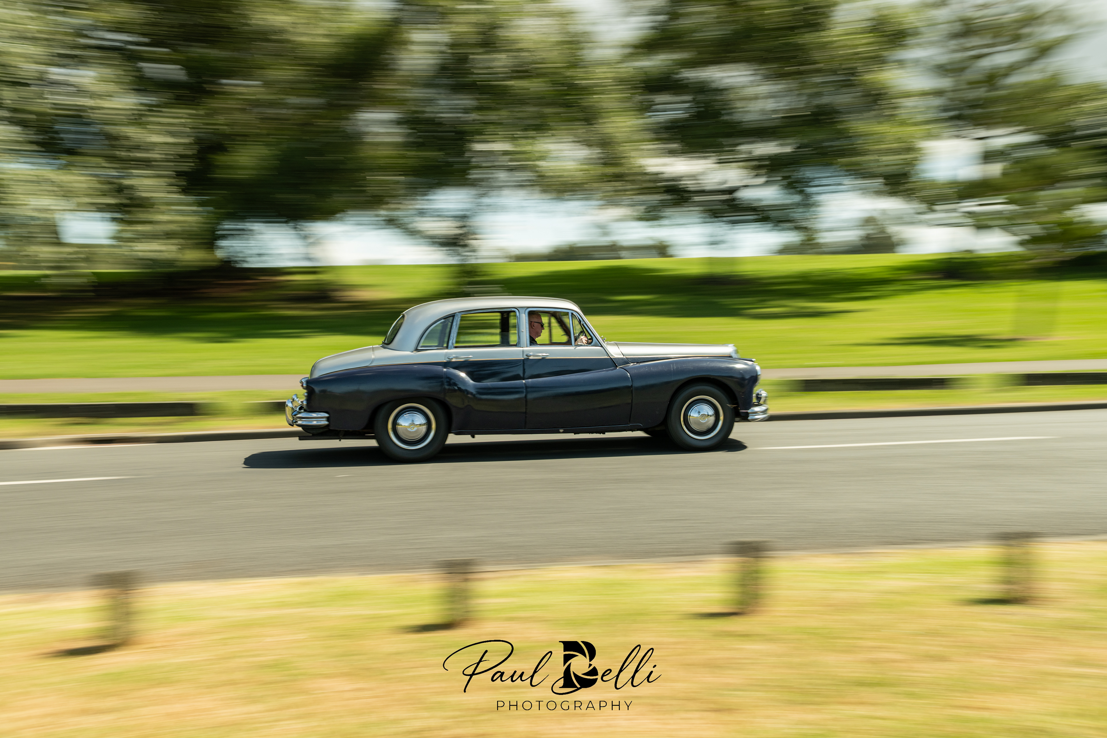 Afternoon Panning 38