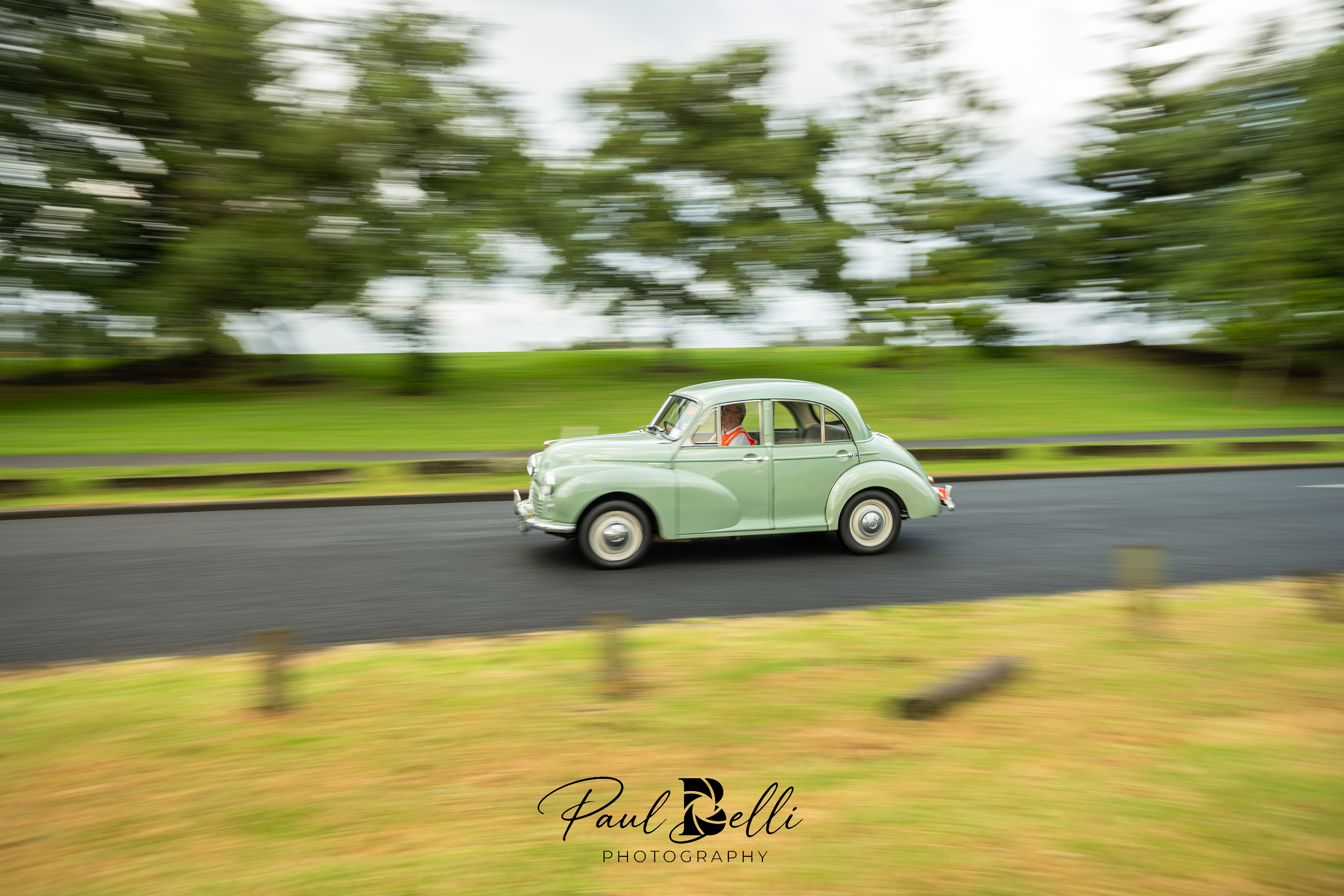 Morning Panning 26