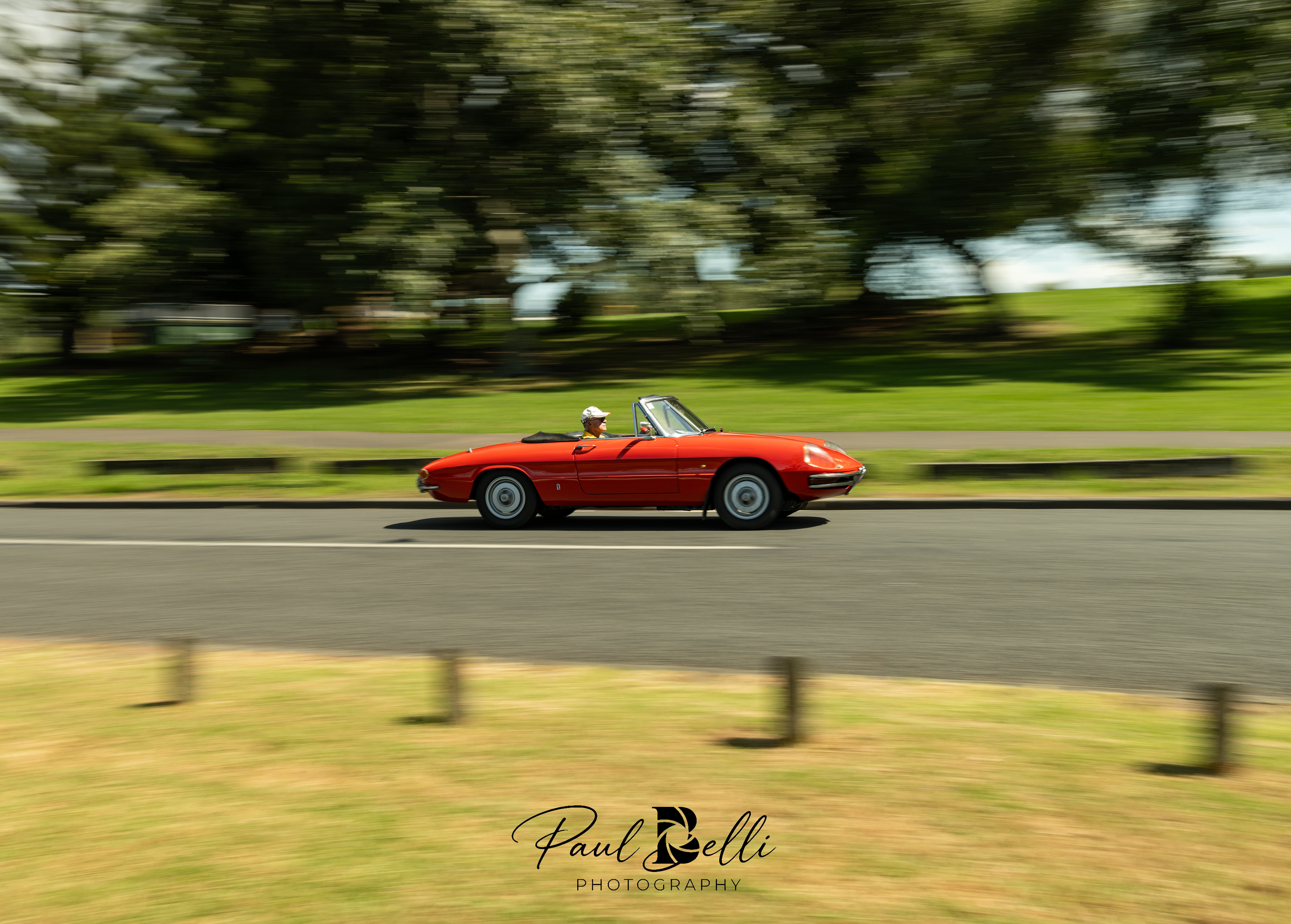 Afternoon Panning 50