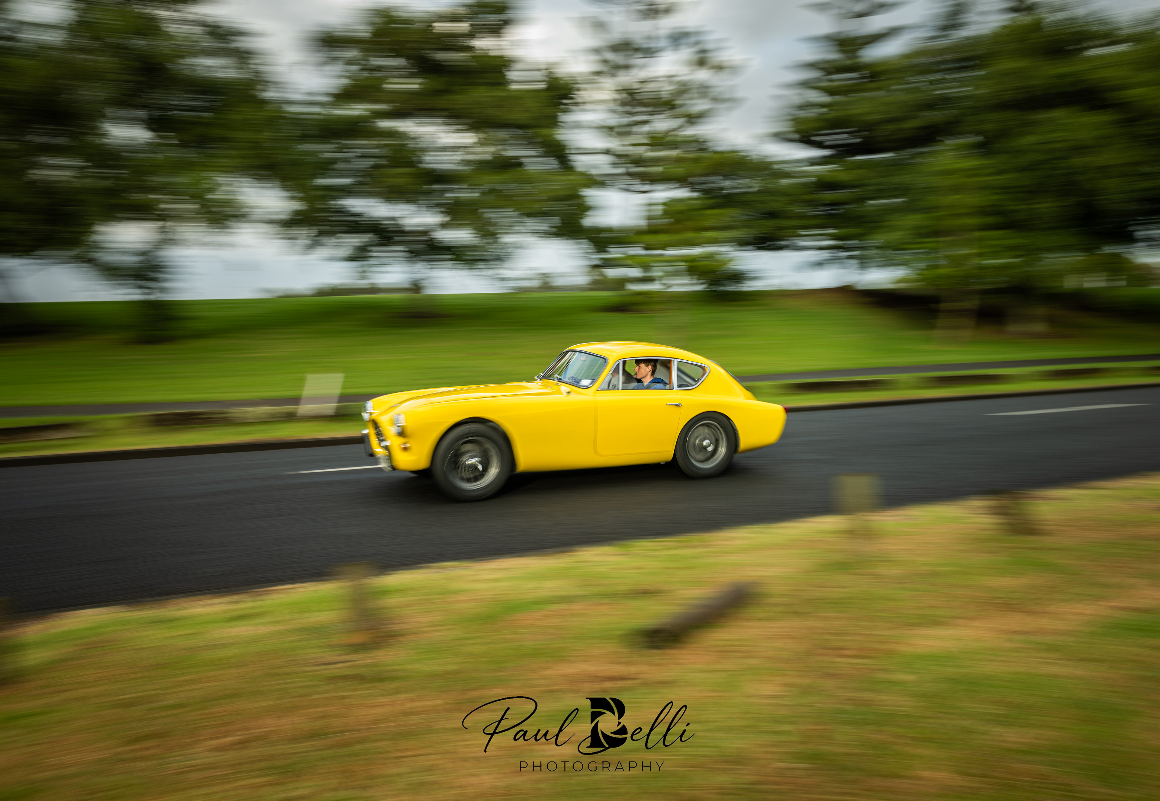 Morning Panning 44