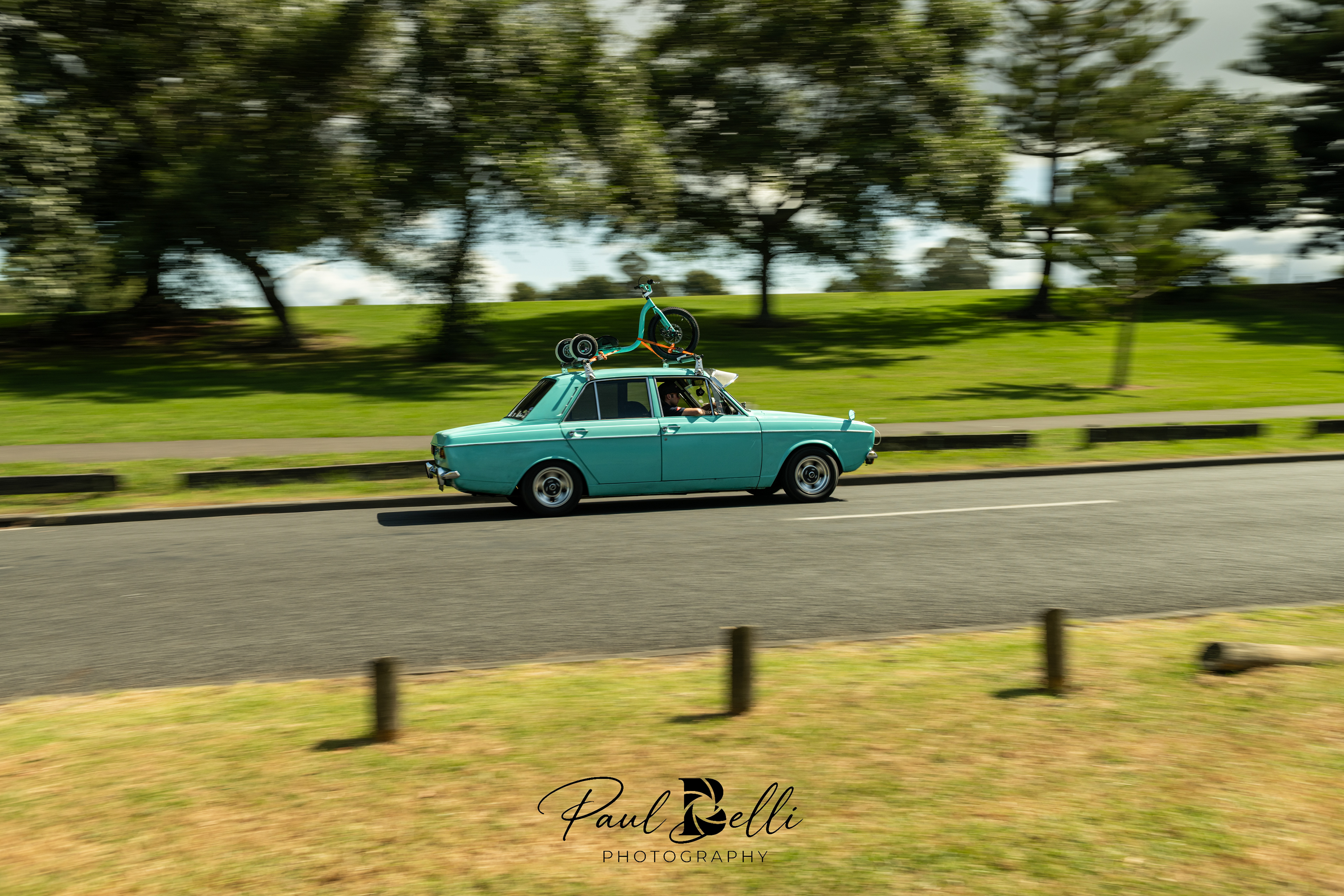 Afternoon Panning 77