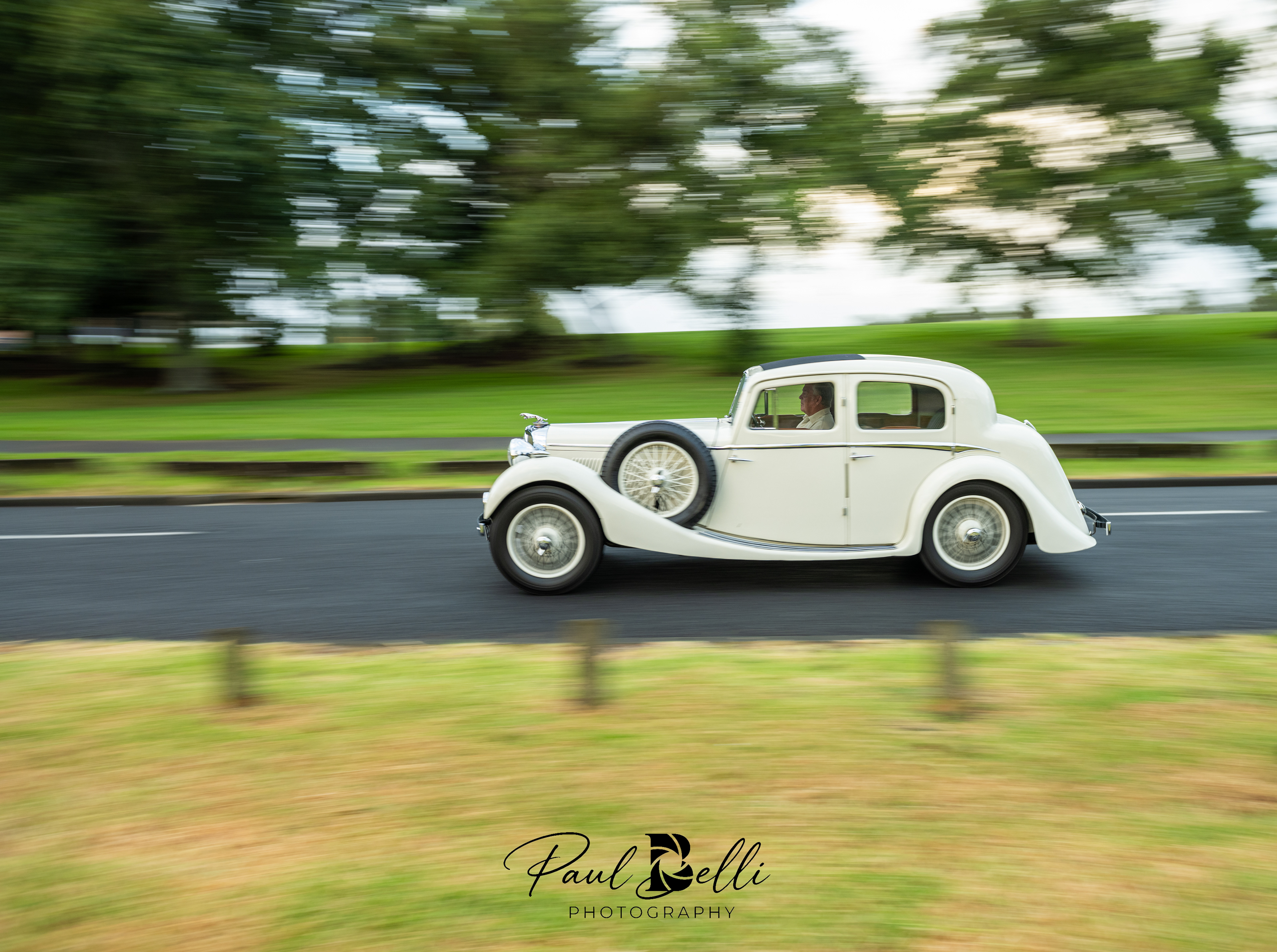 Morning Panning 8