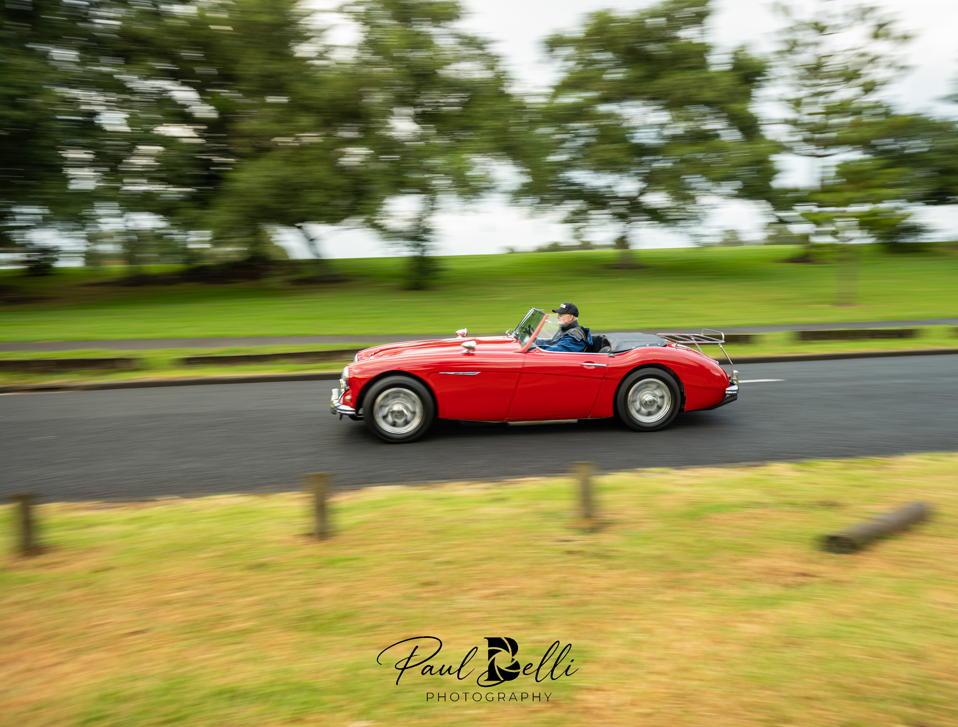 Morning Panning 21