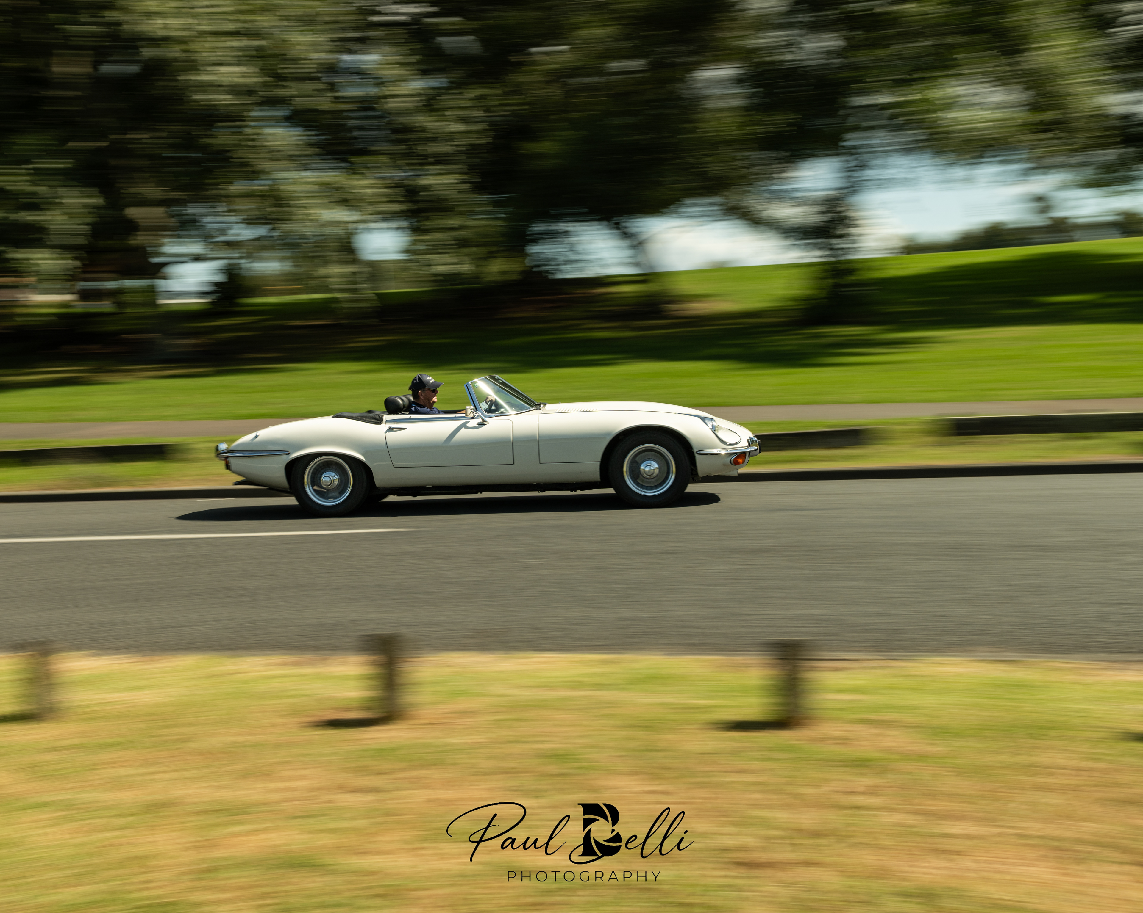Afternoon Panning 70