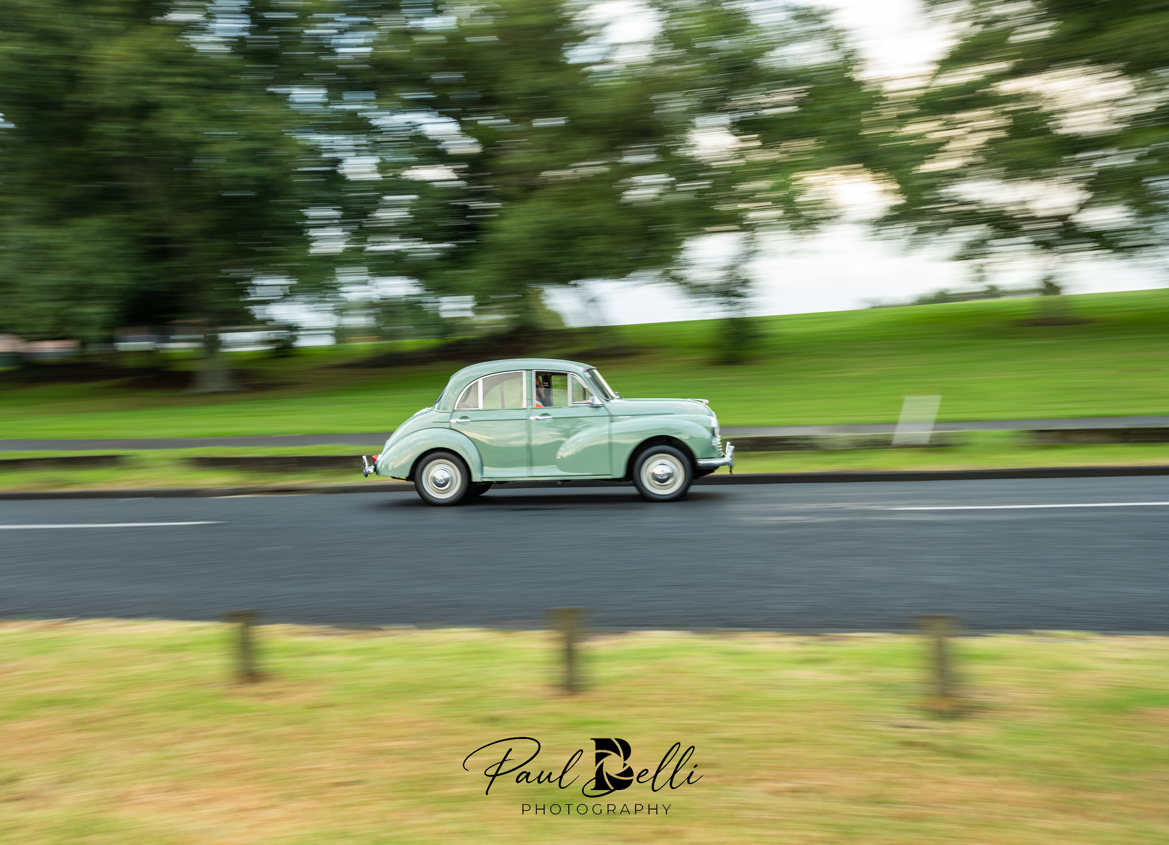 Morning Panning 9