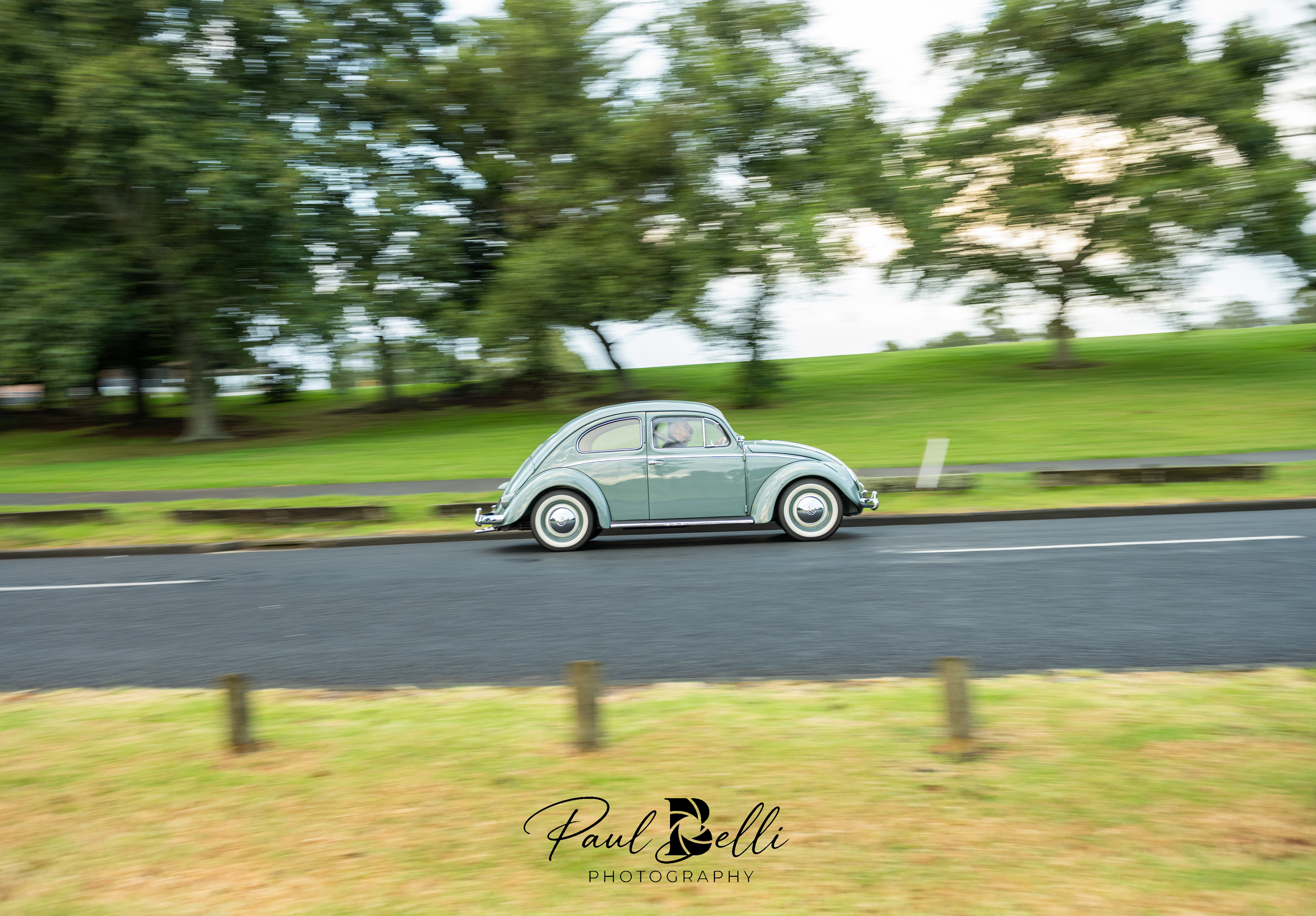 Morning Panning 3