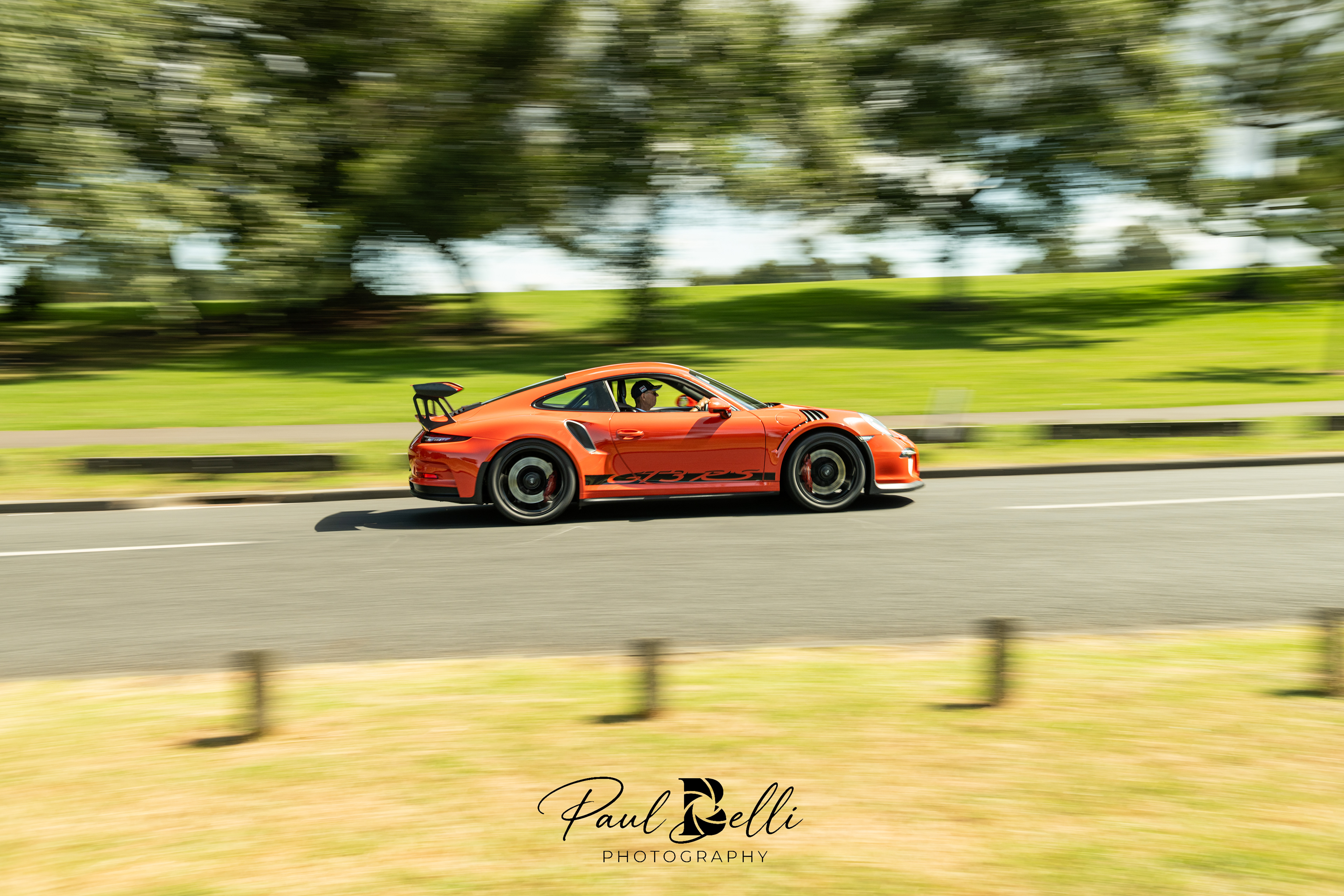 Afternoon Panning 16