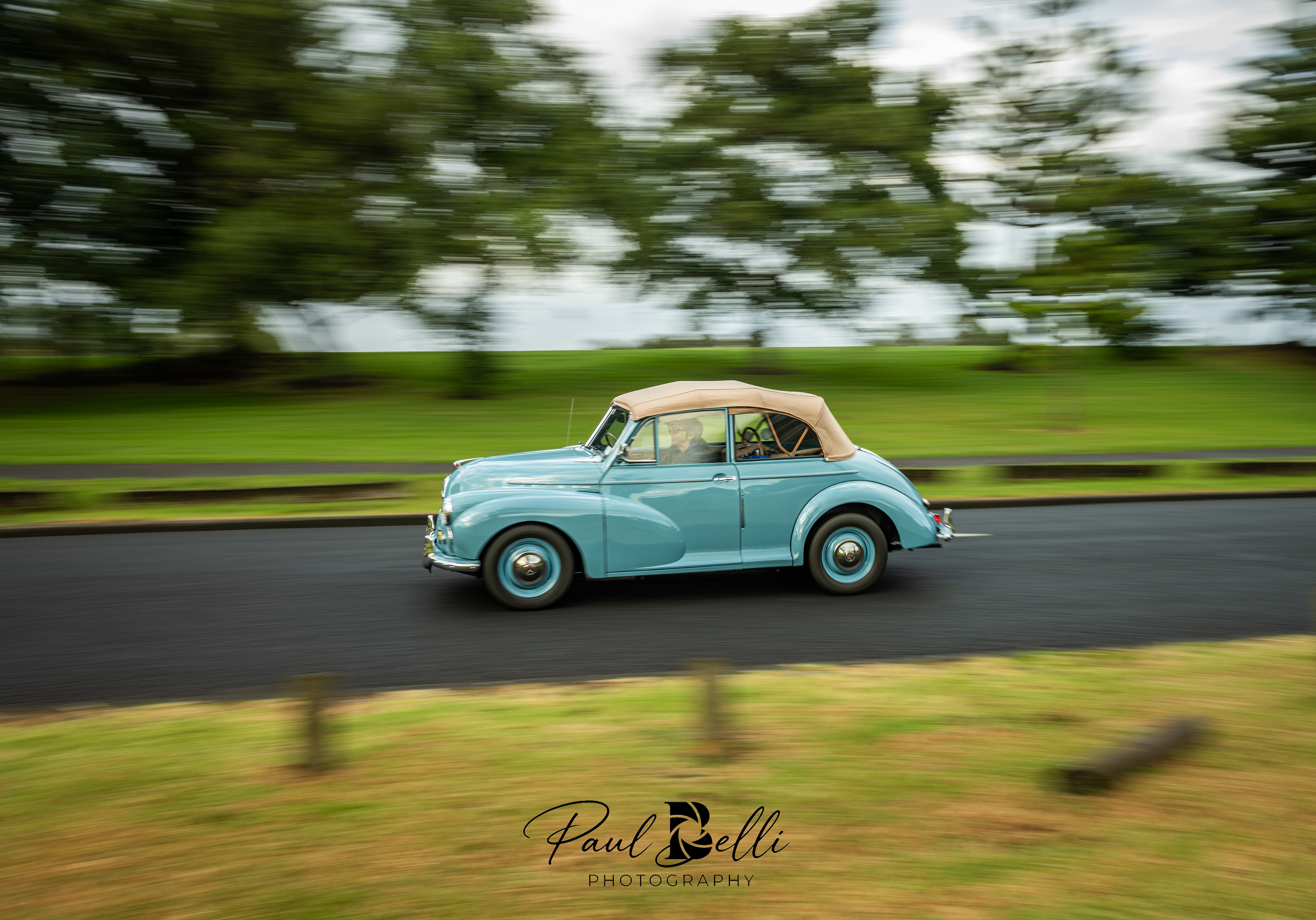 Morning Panning 43